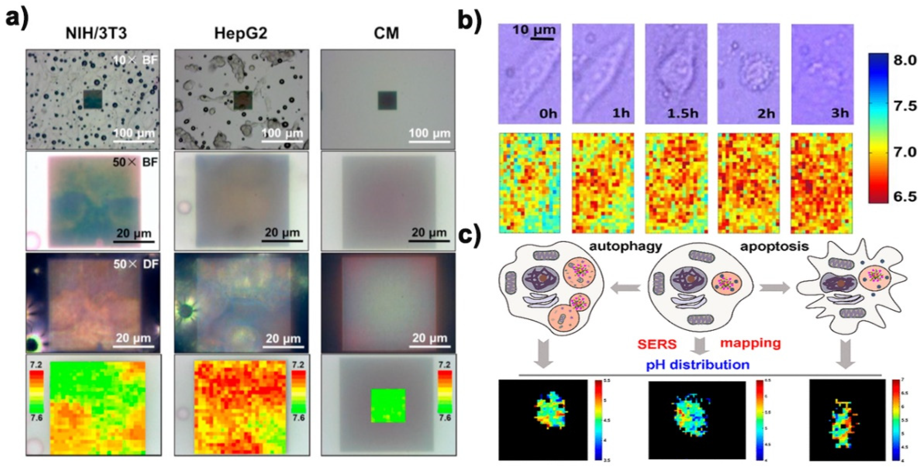 Biosensors 11 00282 g006