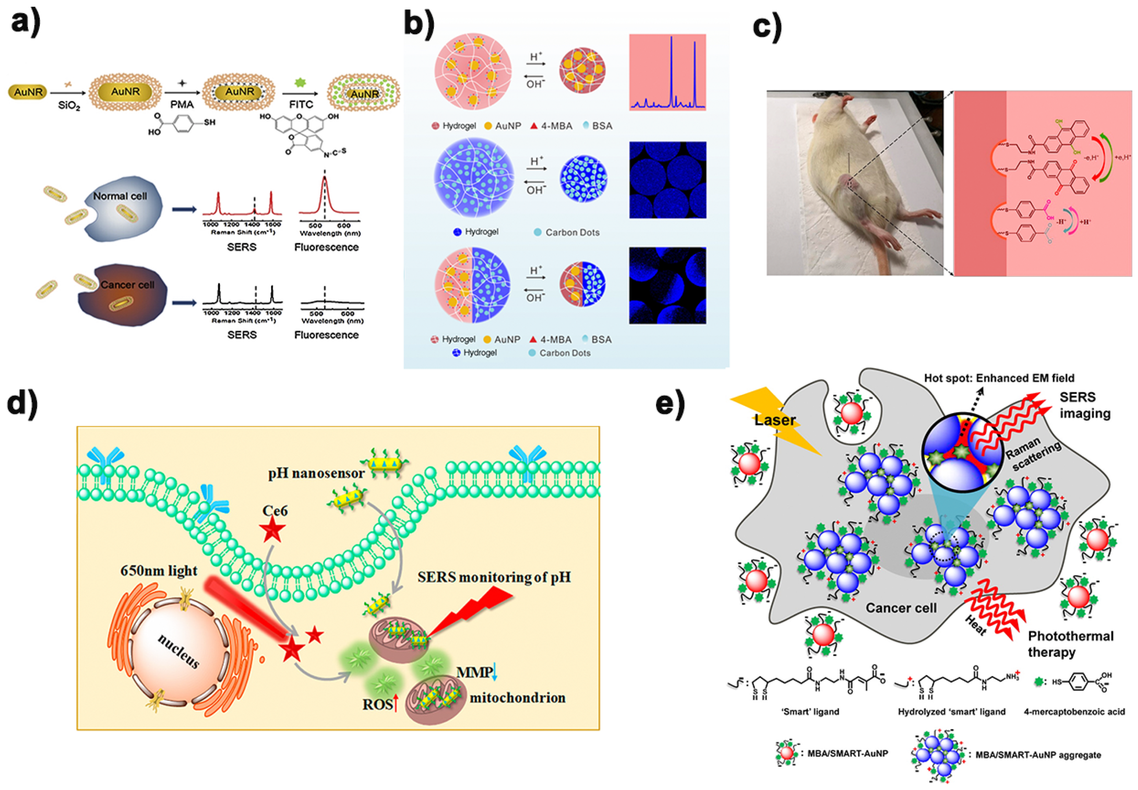 Biosensors 11 00282 g007