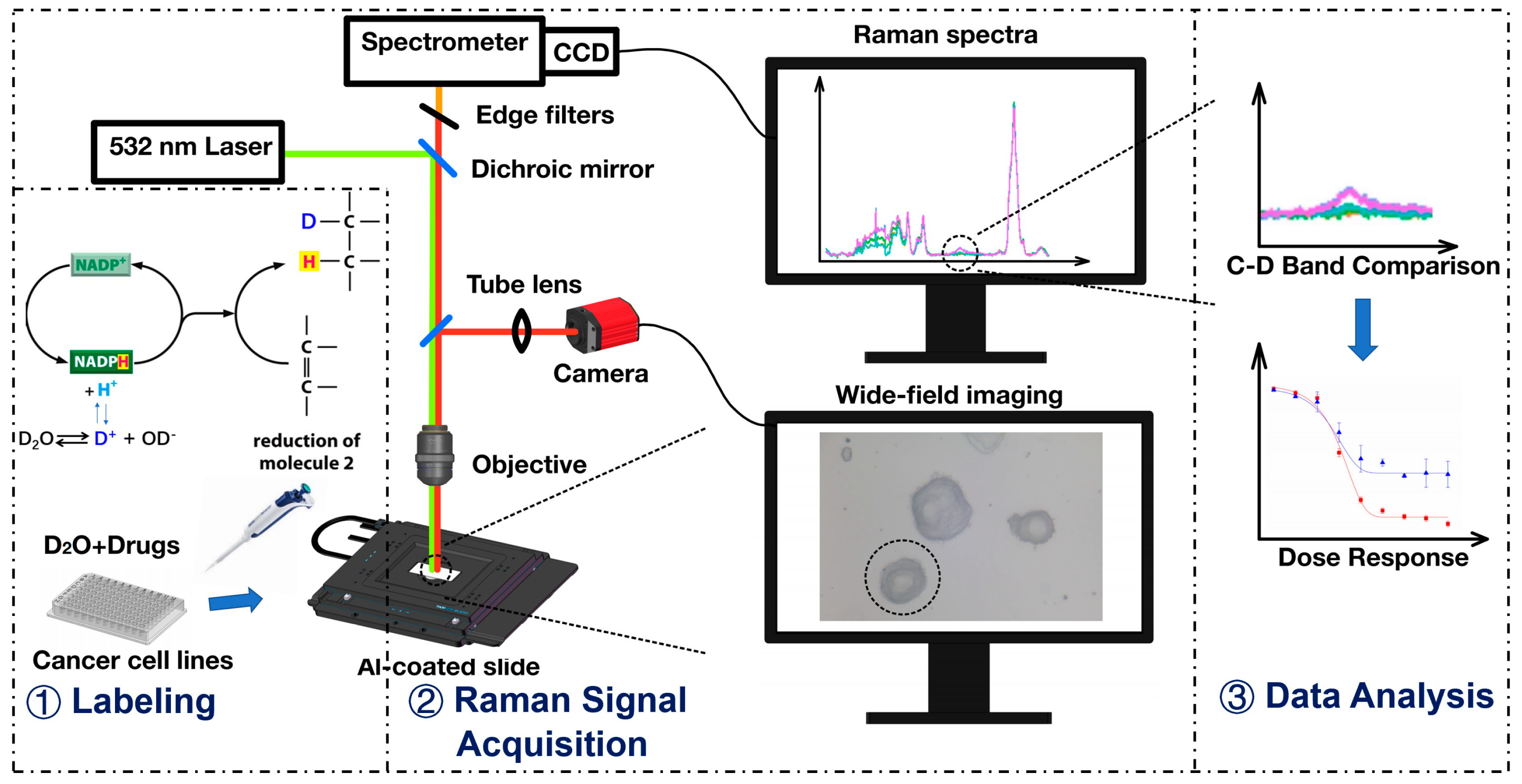 Biosensors 11 00286 g001 550