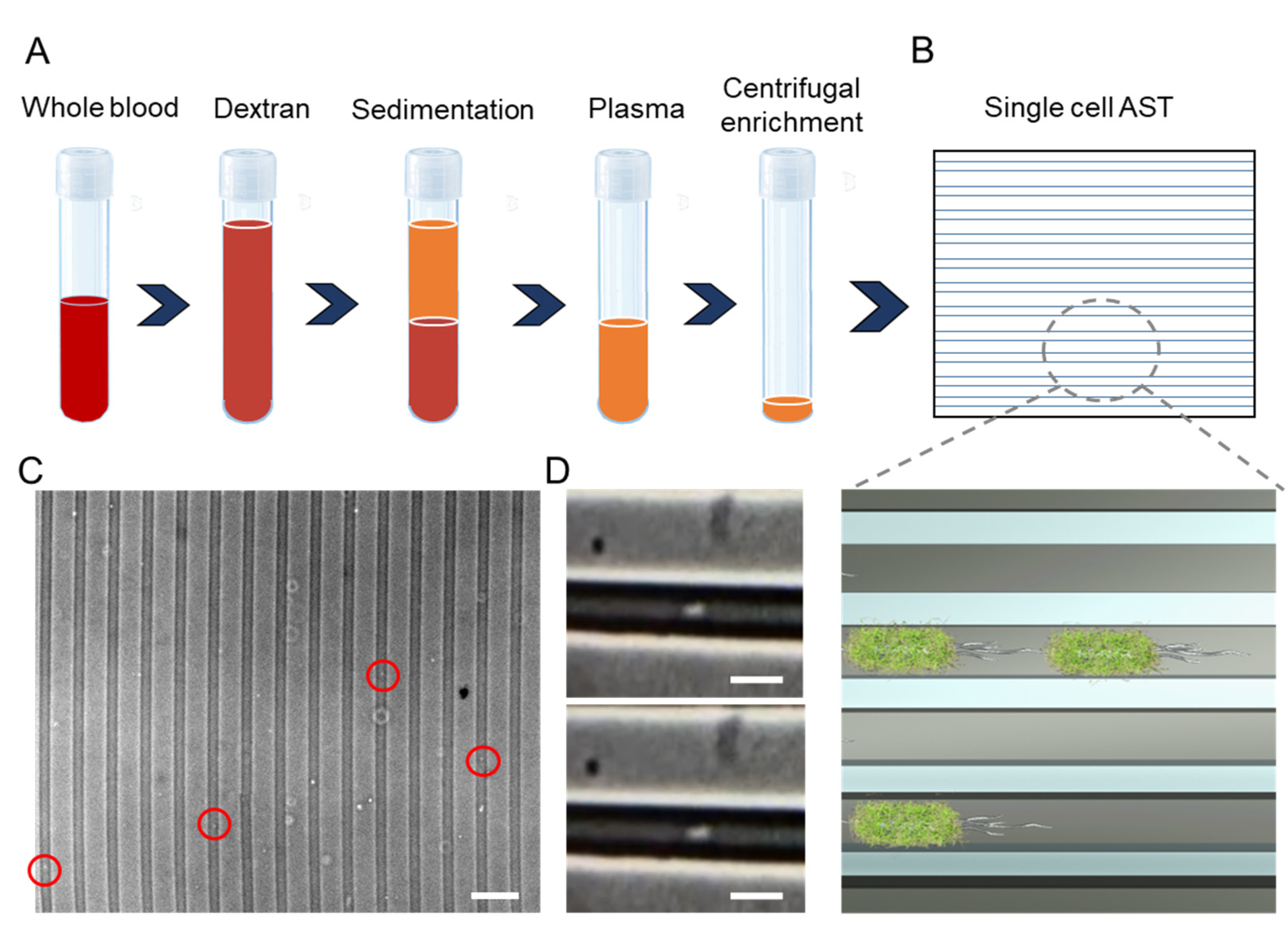 Biosensors 11 00288 g001 550
