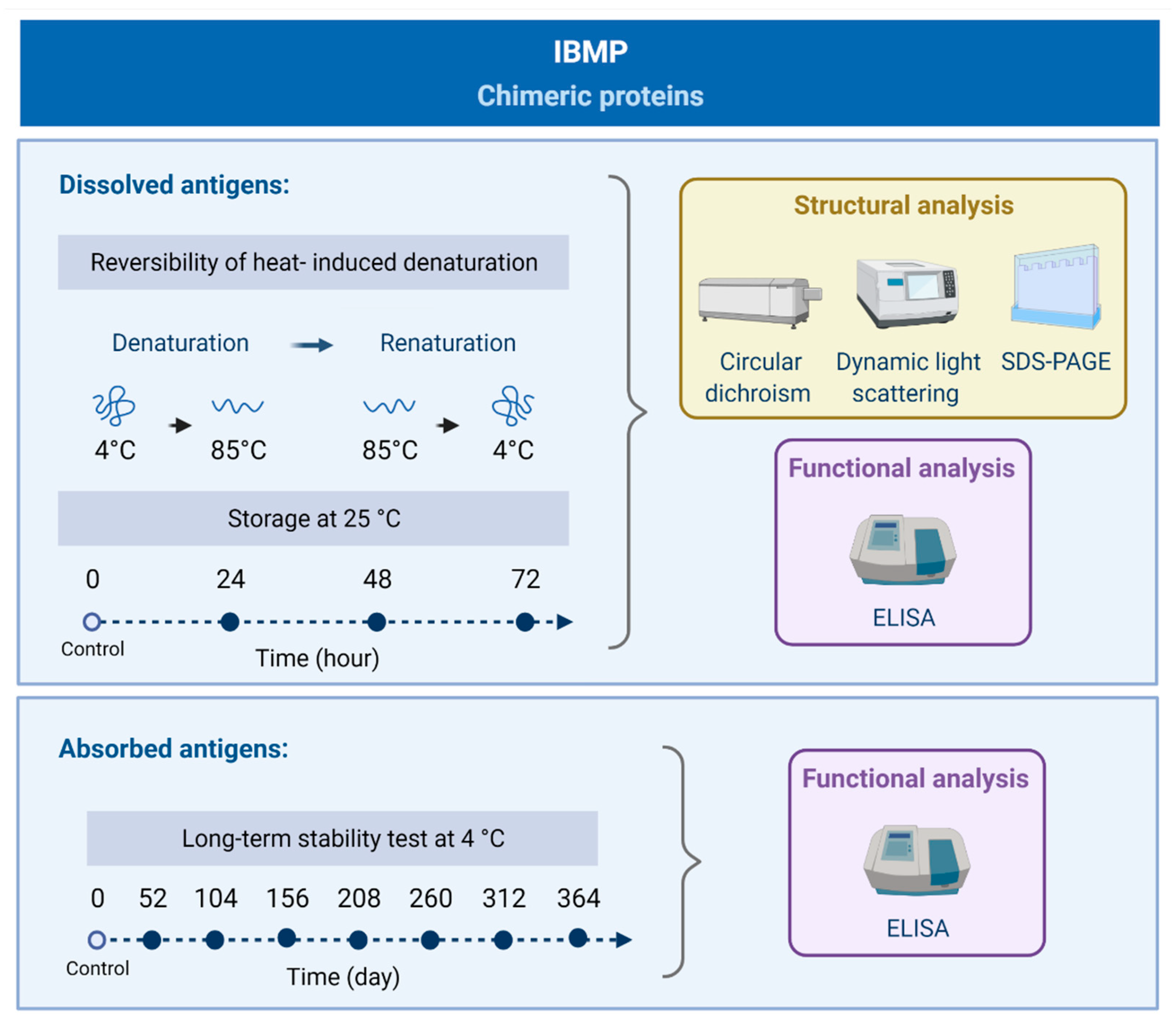 Biosensors 11 00289 g001