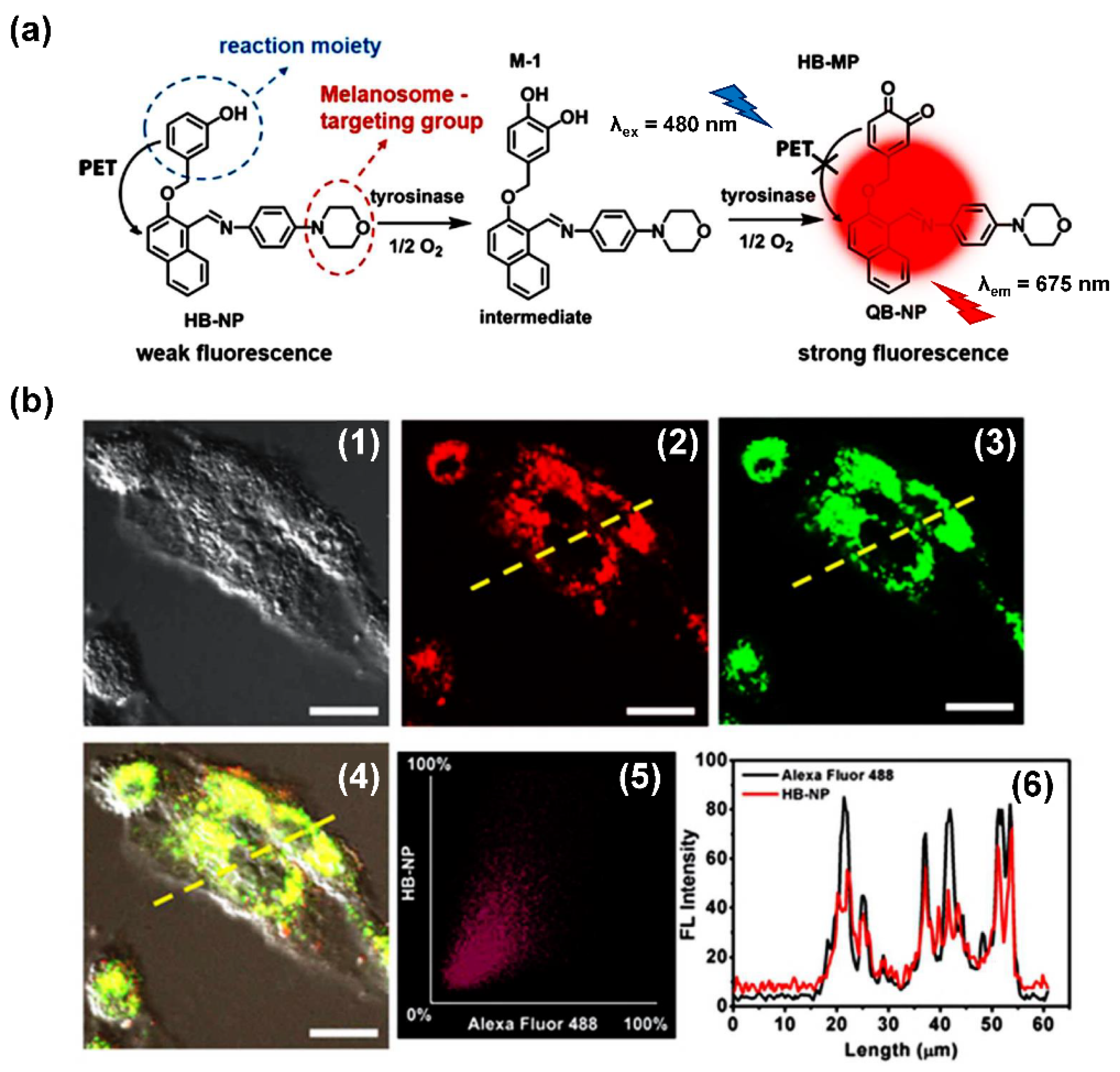 Biosensors 11 00290 g010 Biosensors 11 00290 g010