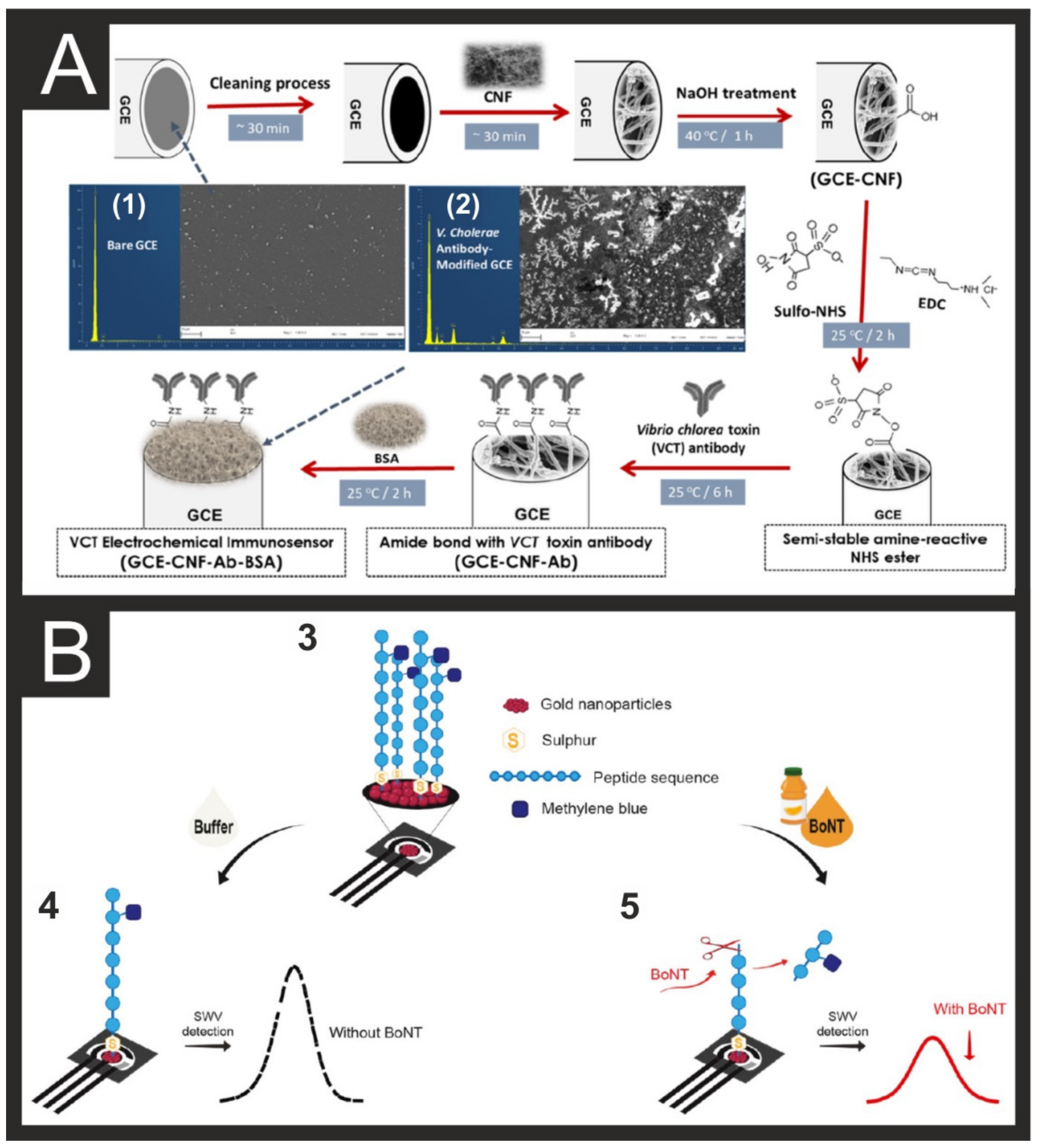 Biosensors 11 00291 g003 550