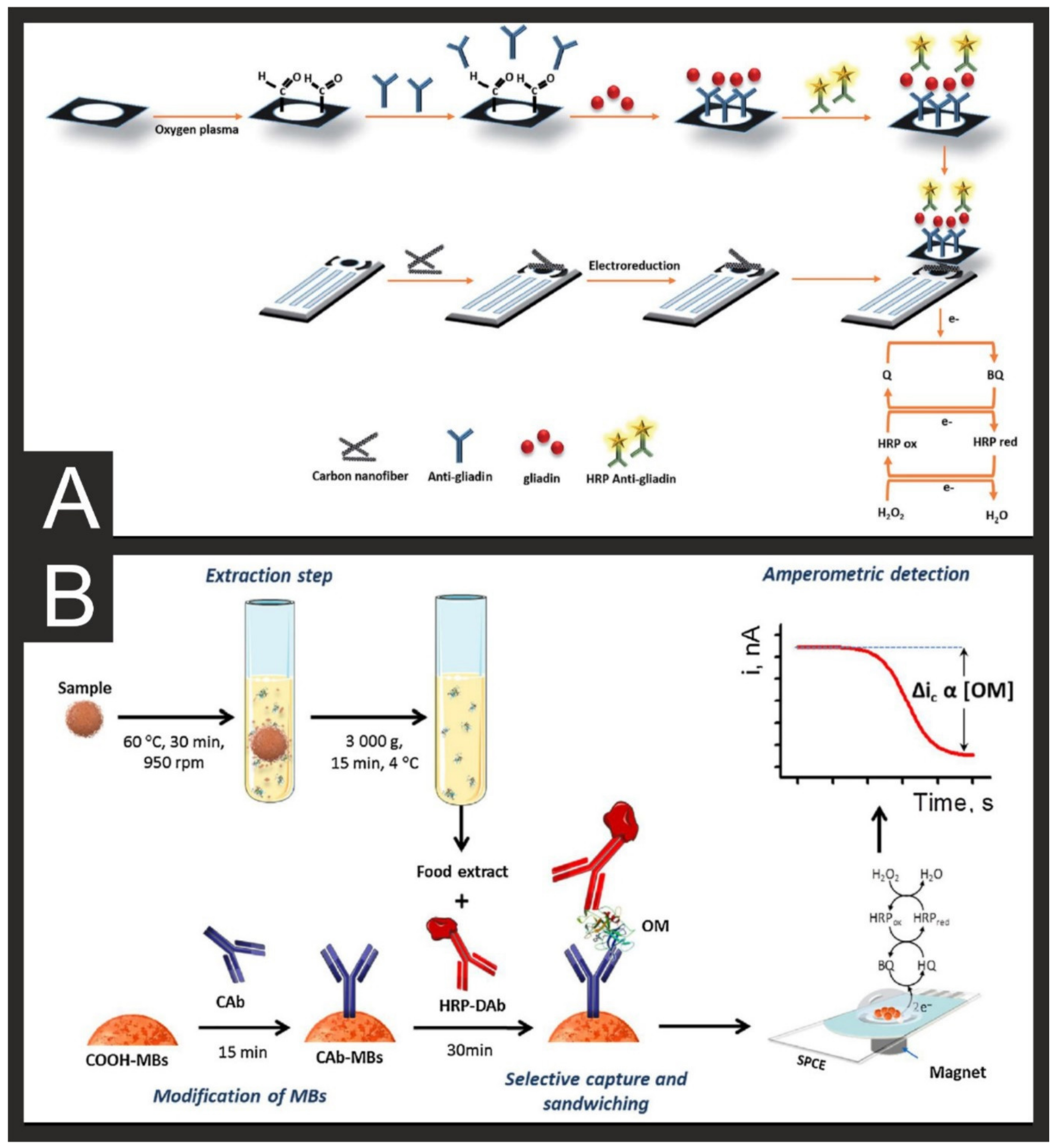 Biosensors 11 00291 g005 550