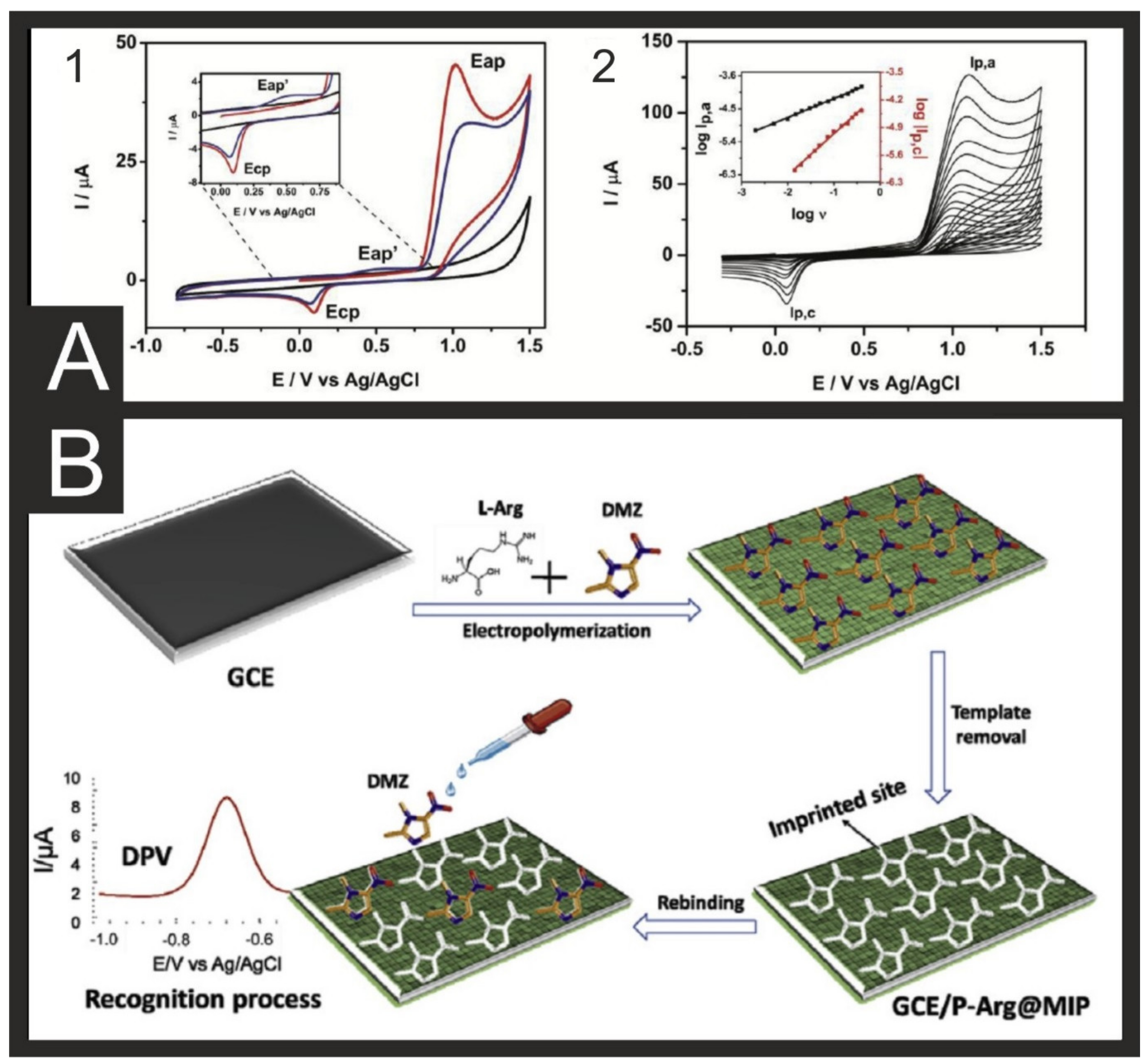 Biosensors 11 00291 g006 550