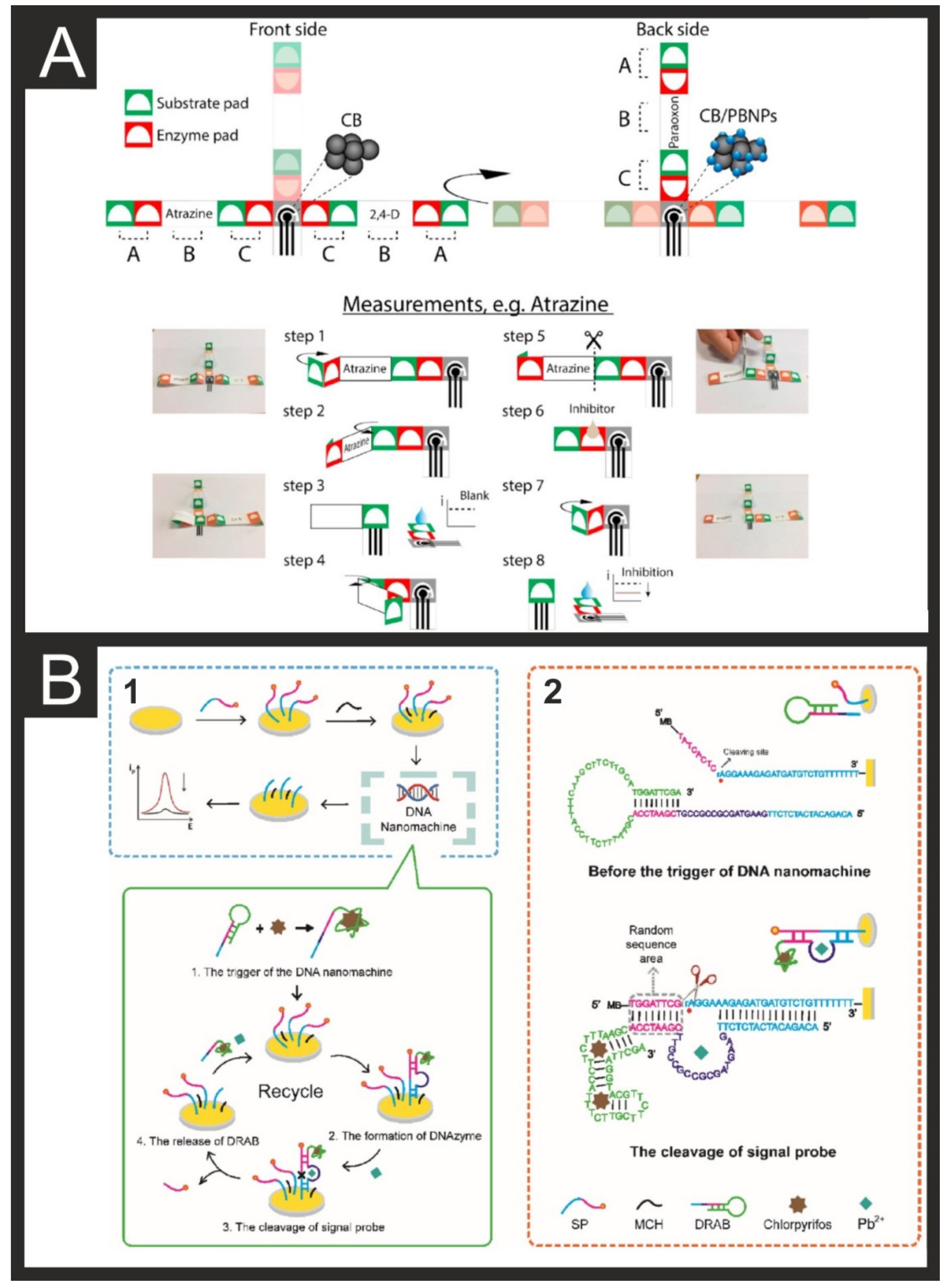 Biosensors 11 00291 g007 550