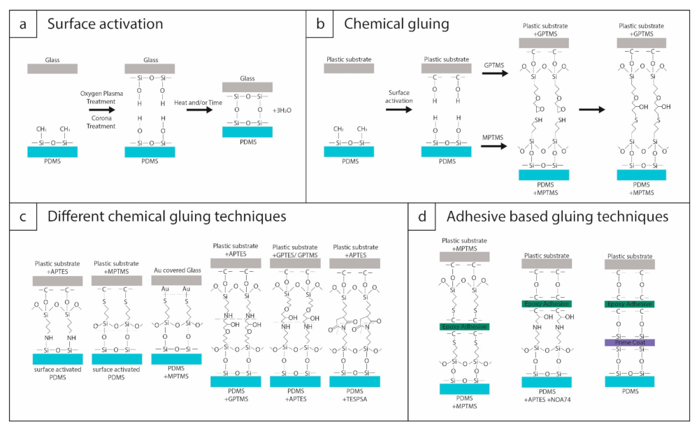 Biosensors 11 00292 g002