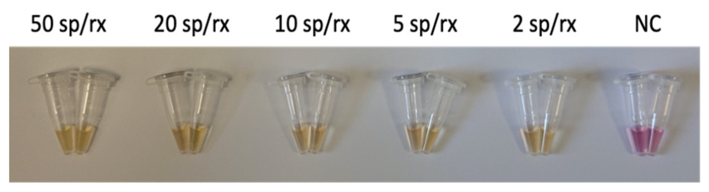 Biosensors 11 00293 g004