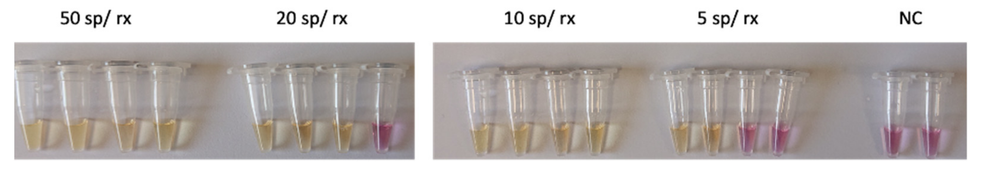 Biosensors 11 00293 g005