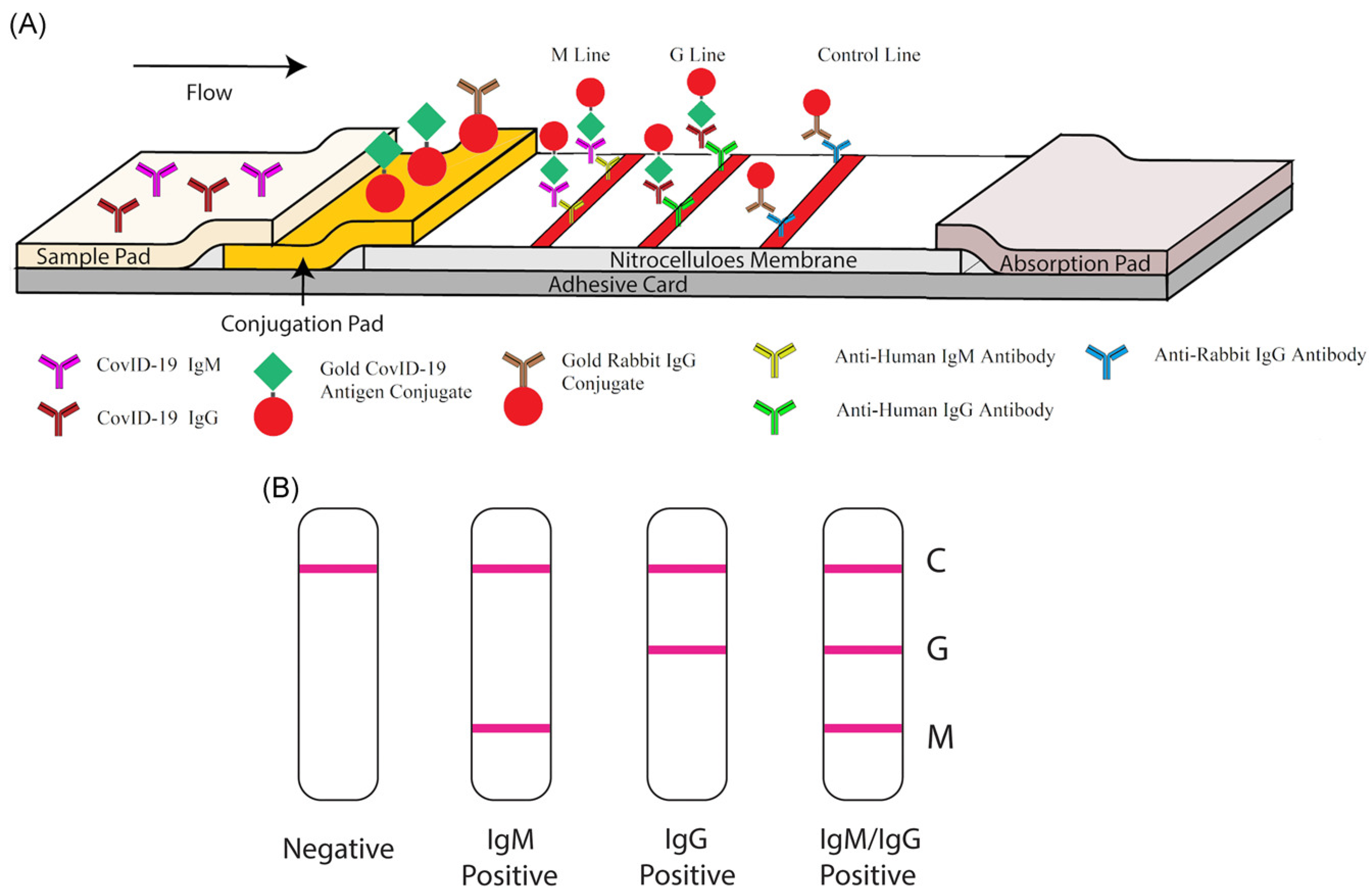 Biosensors Free Full Text Recent Advances In Novel Lateral Flow Technologies For Detection