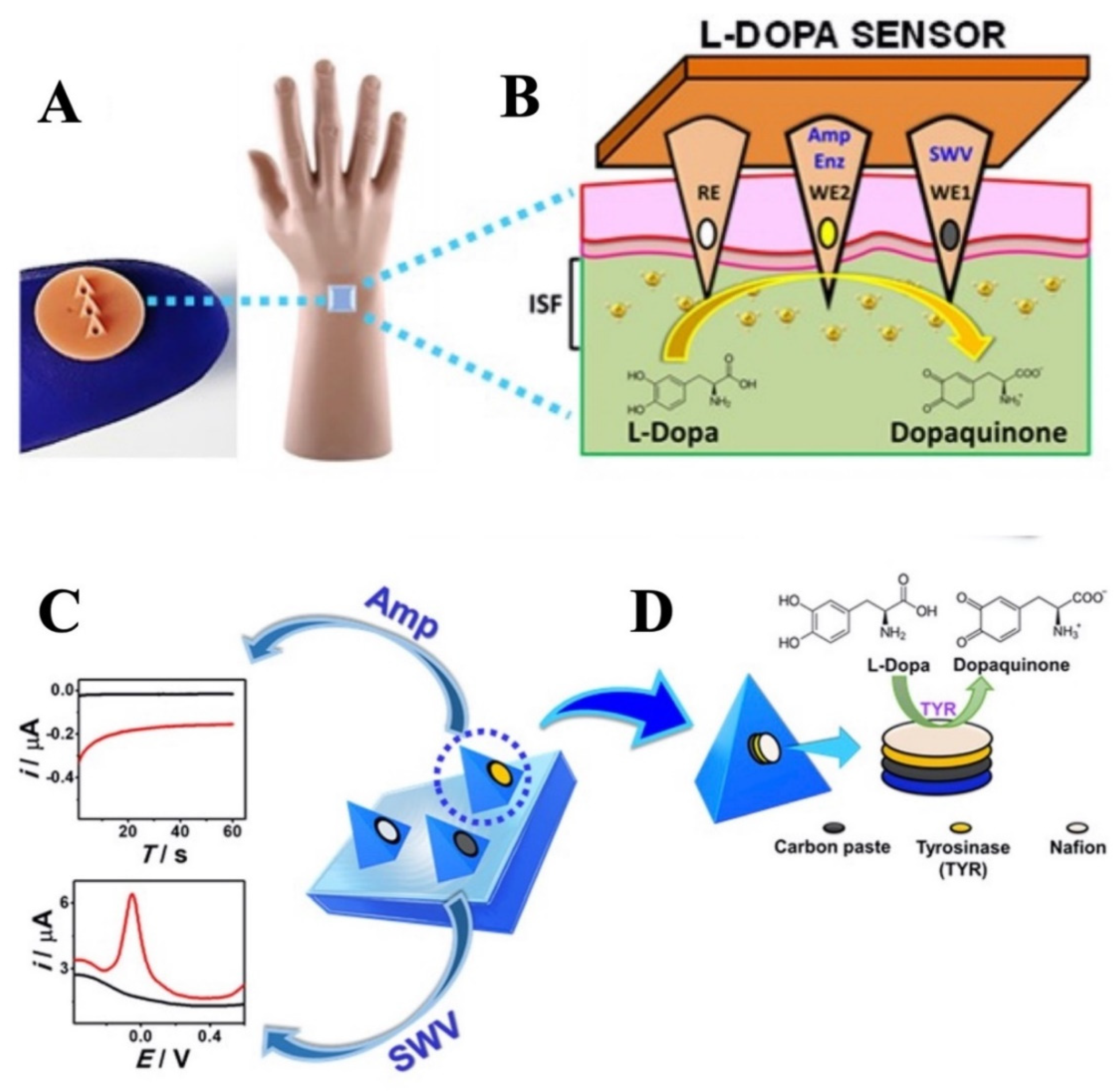 Biosensors 11 00296 g004