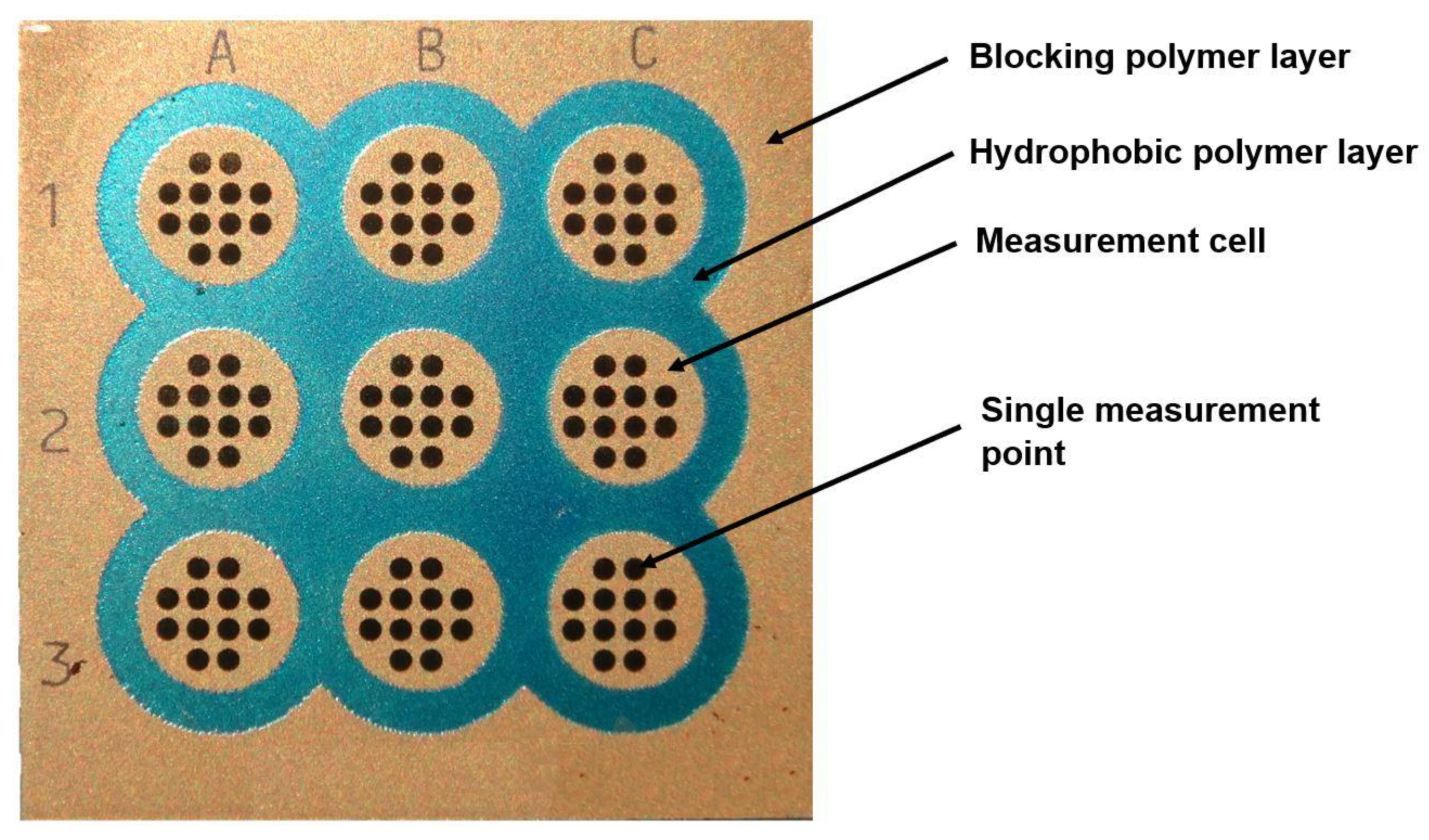 Biosensors 11 00298 g001 Biosensors 11 00298 g001