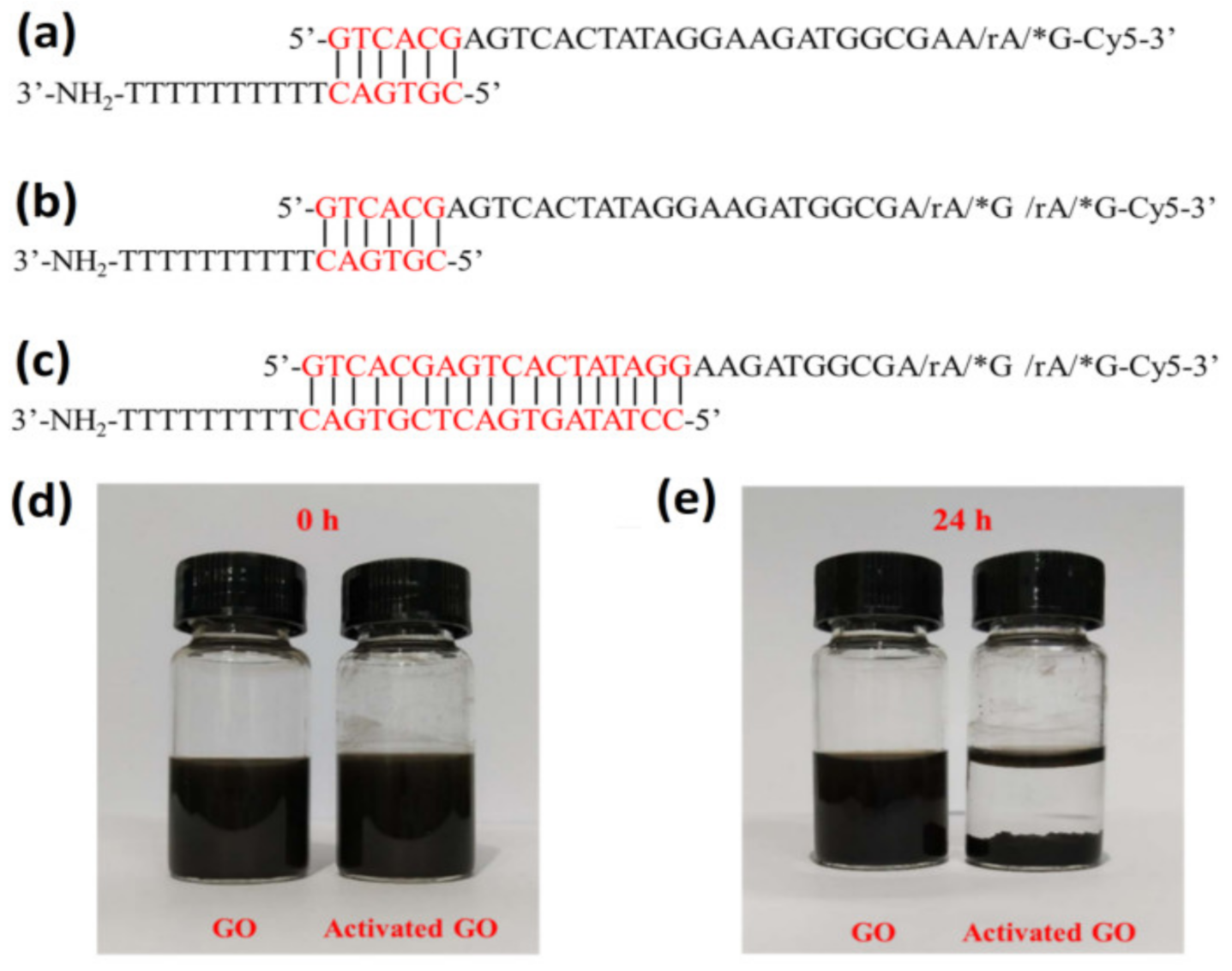 Biosensors 11 00300 g001