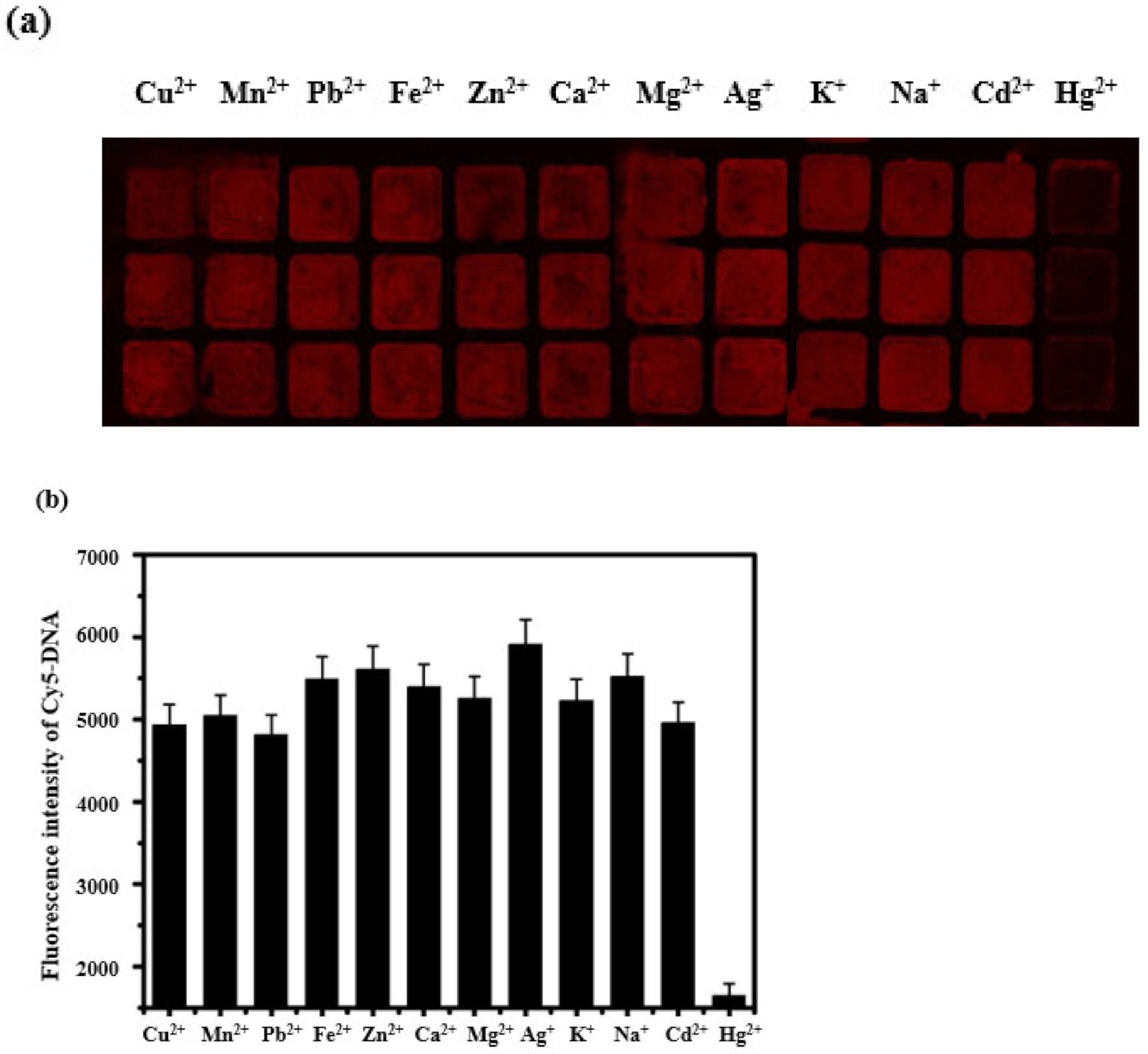 Biosensors 11 00300 g004