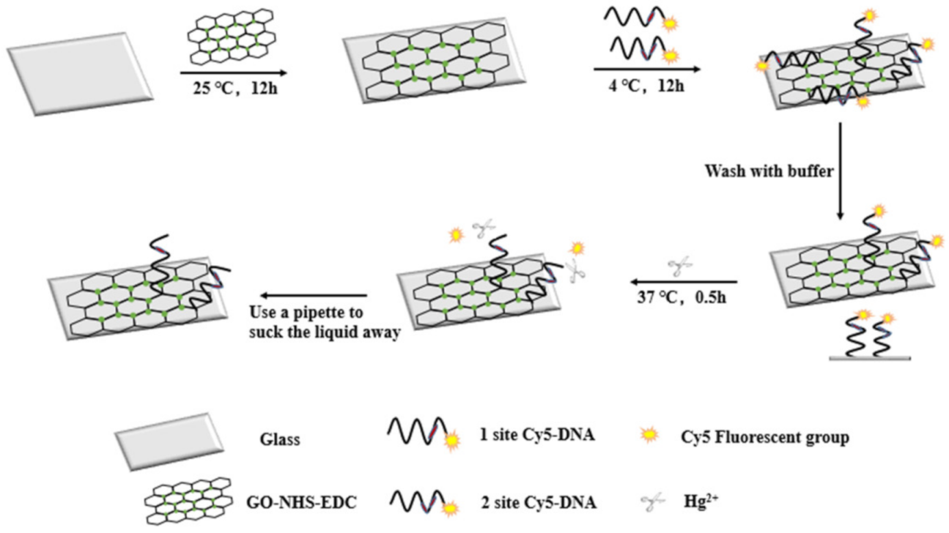 Biosensors 11 00300 sch001