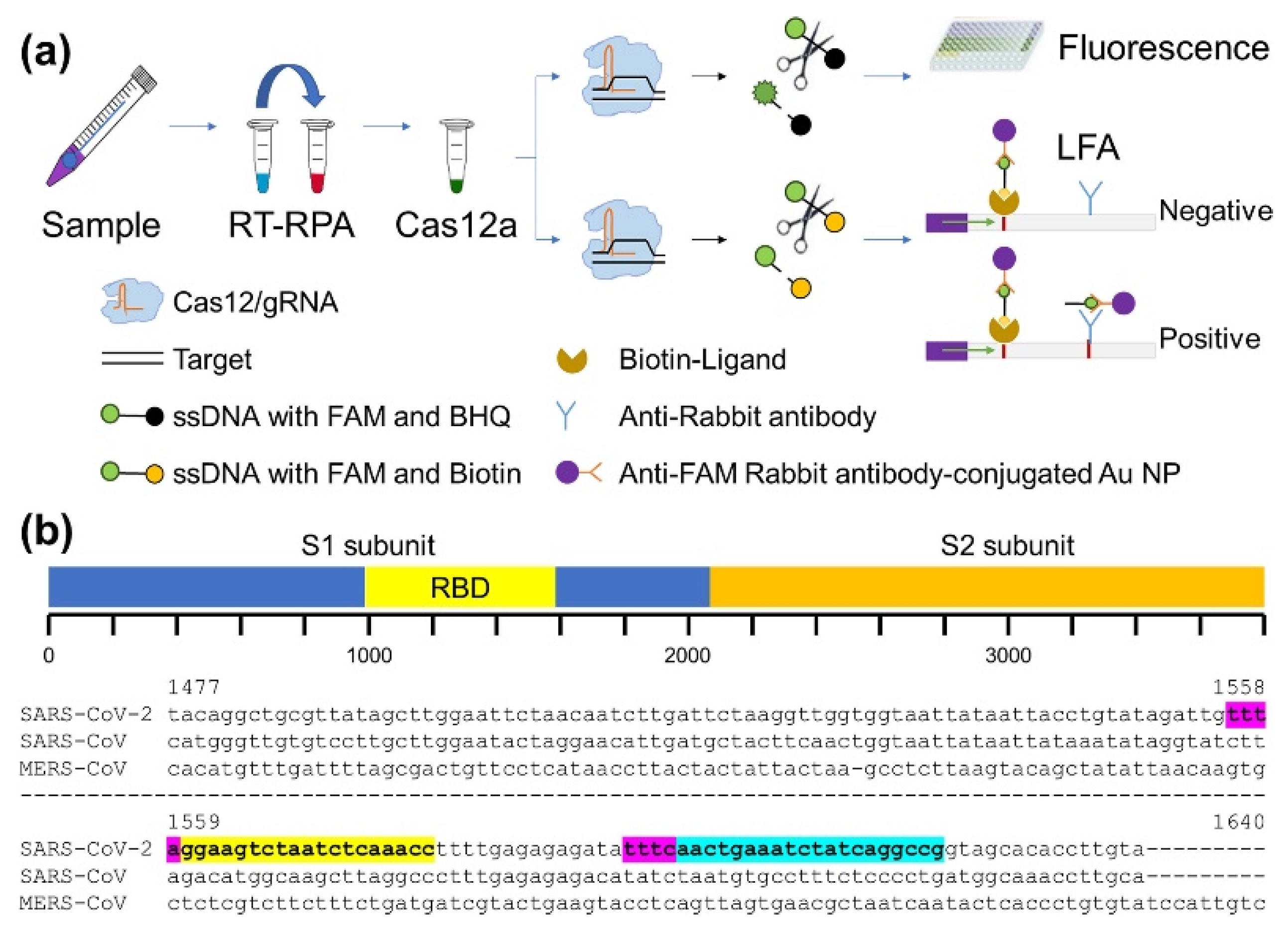 Biosensors 11 00301 g001