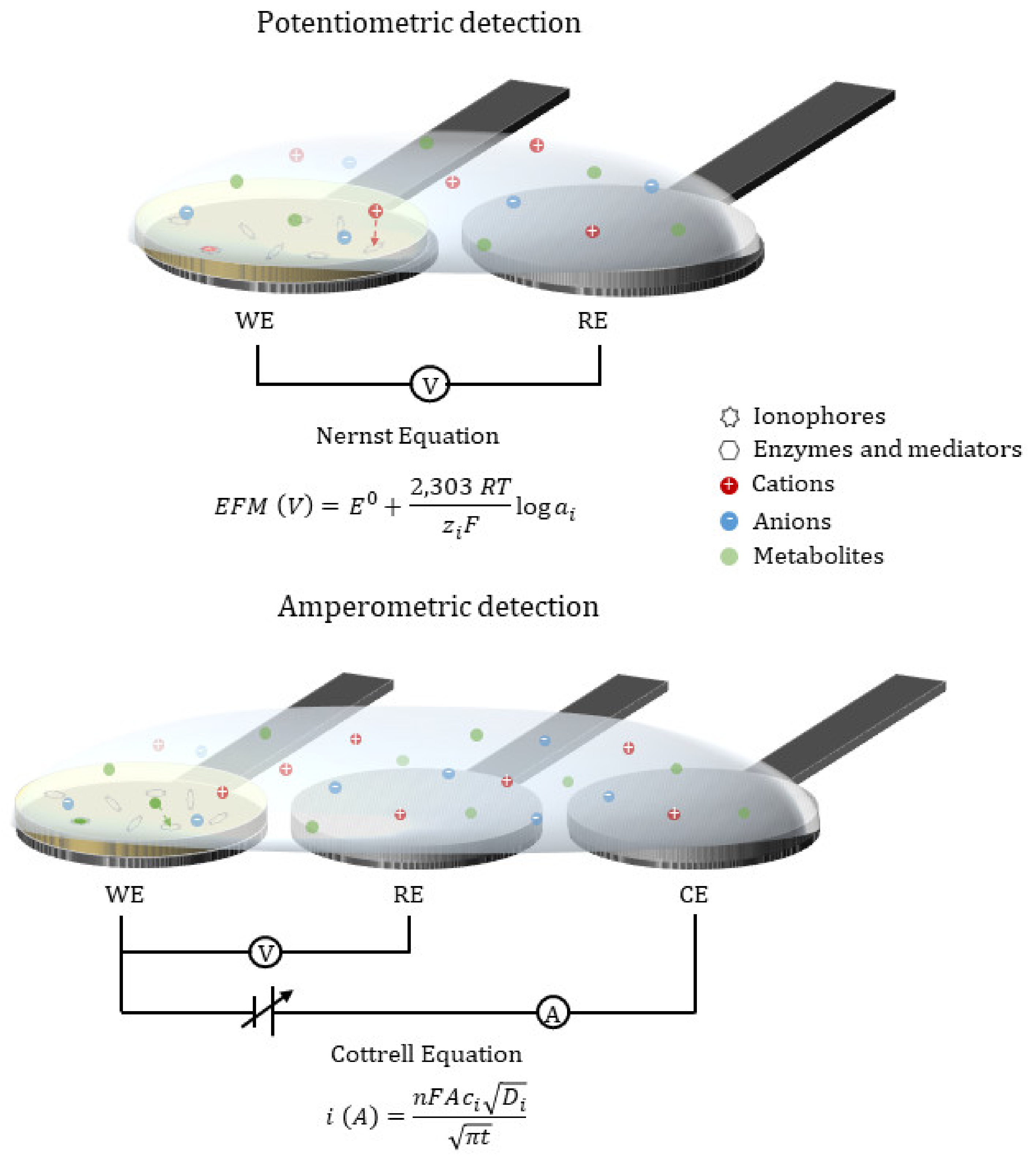 Biosensors 11 00303 g001 550