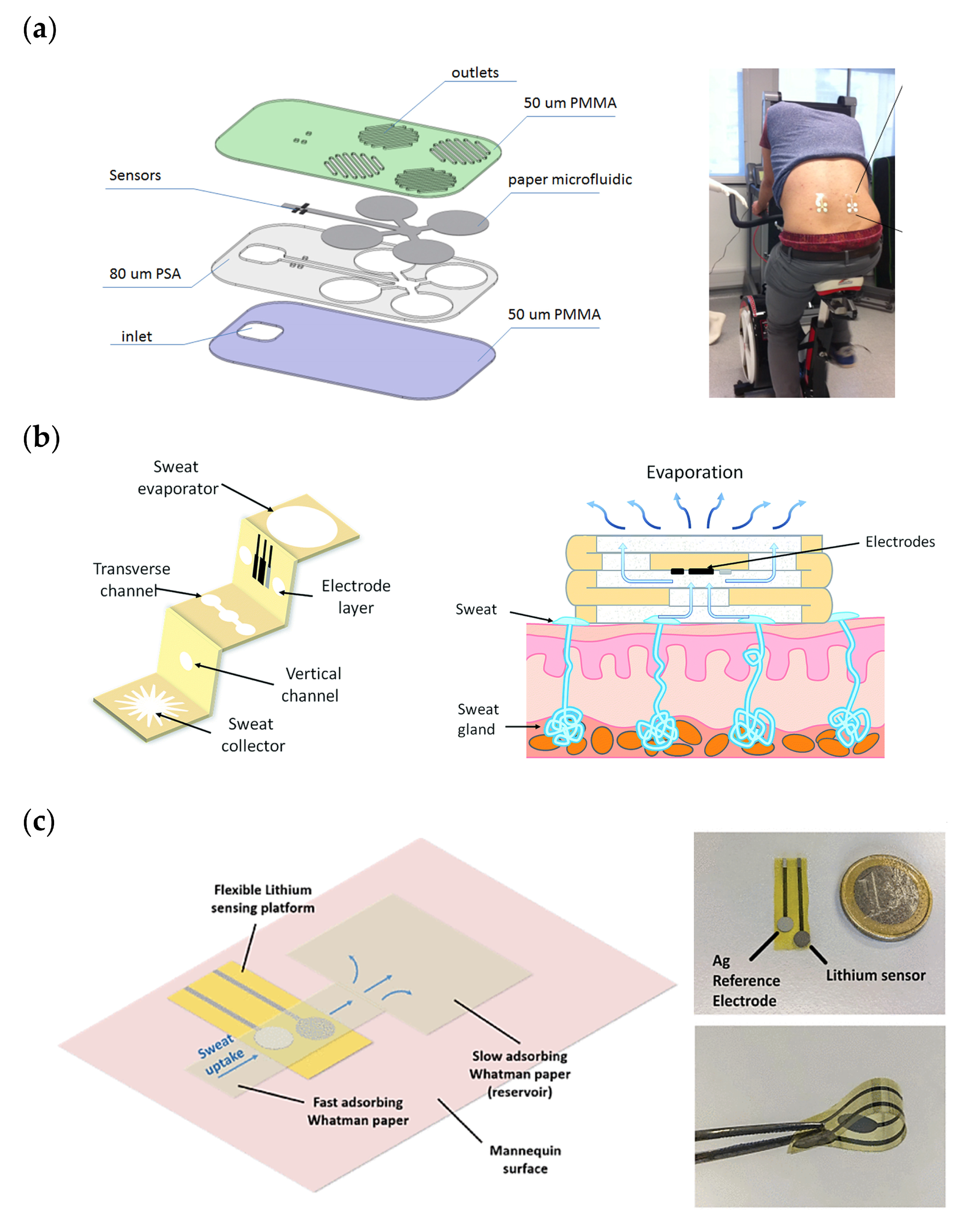Biosensors 11 00303 g003 550