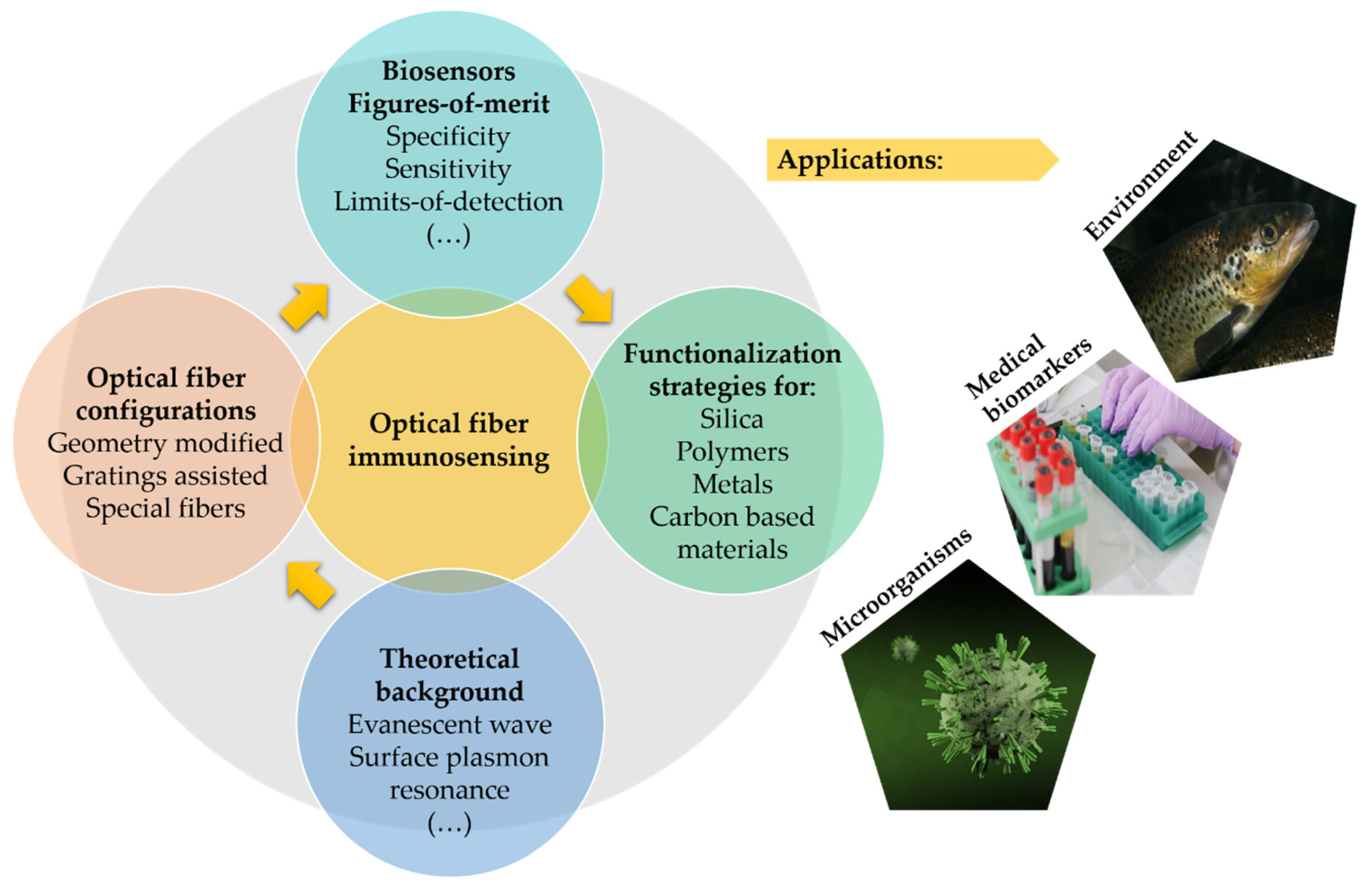 AI-integrated multiplexed optical fiber sensor for dynamic brain