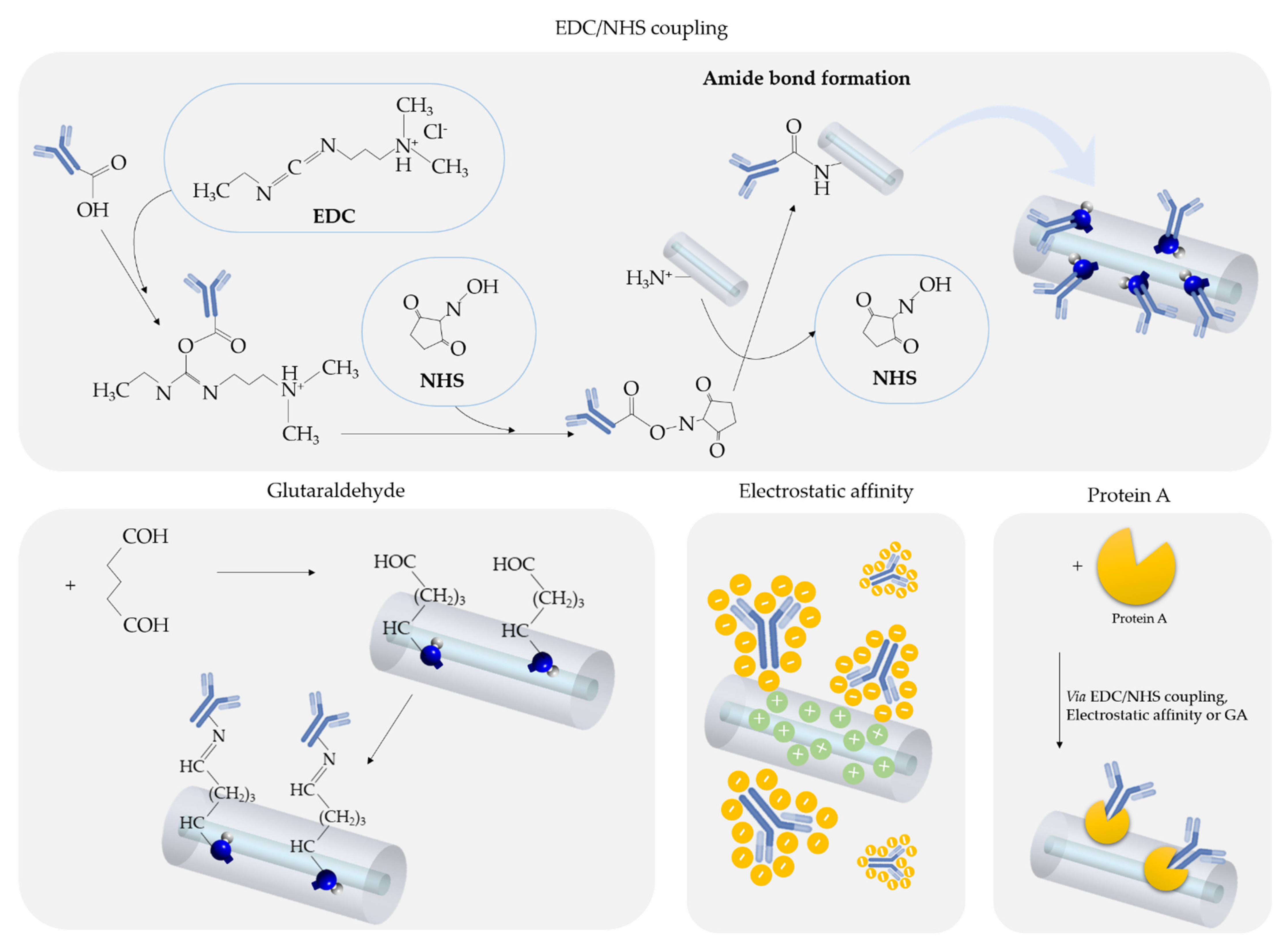 Biosensors 11 00305 g007