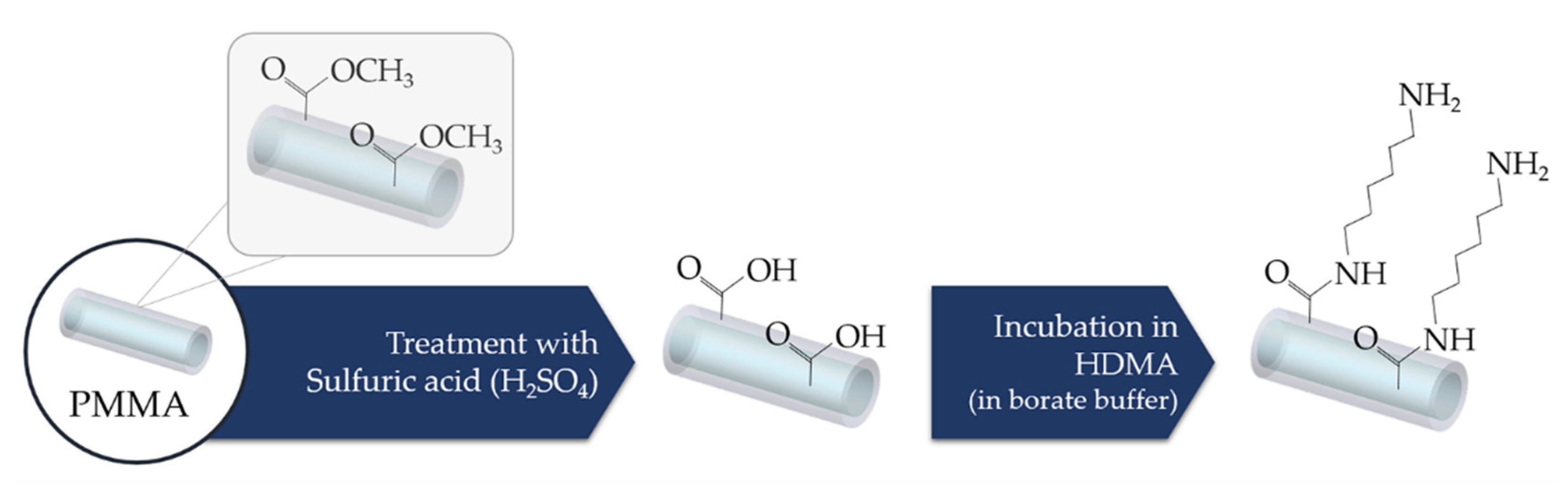 Biosensors 11 00305 g009