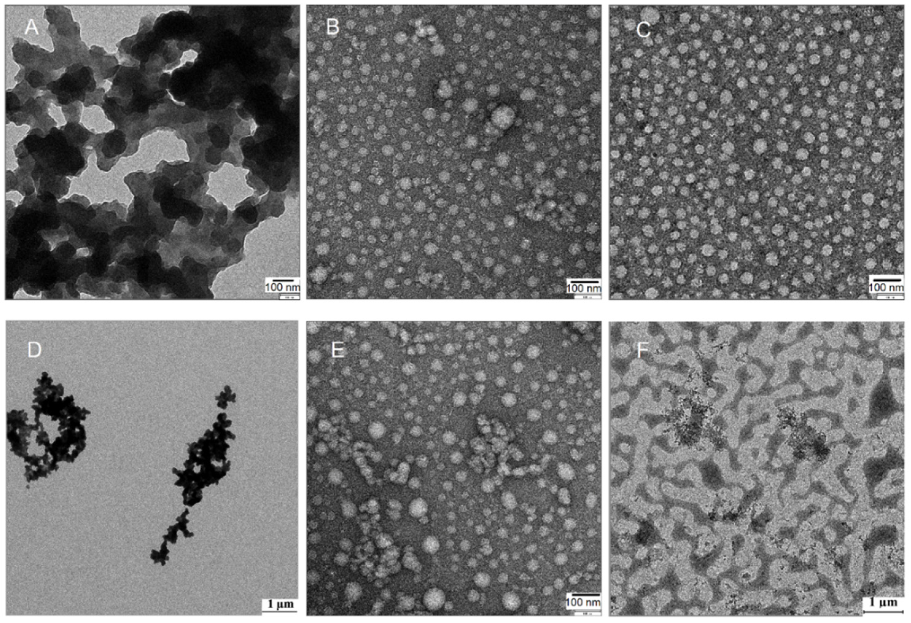 Biosensors 11 00306 g004