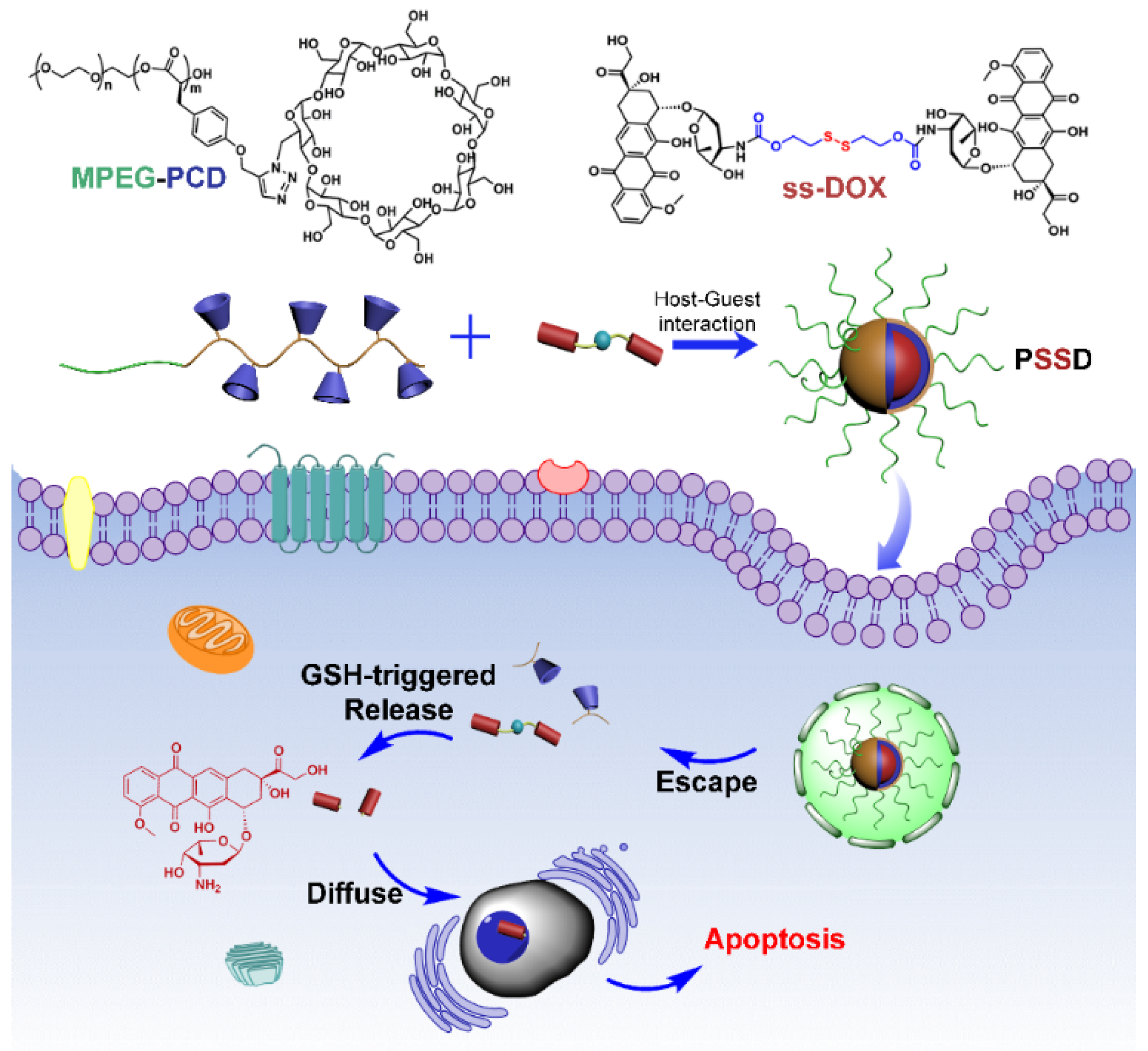 Biosensors 11 00306 sch001