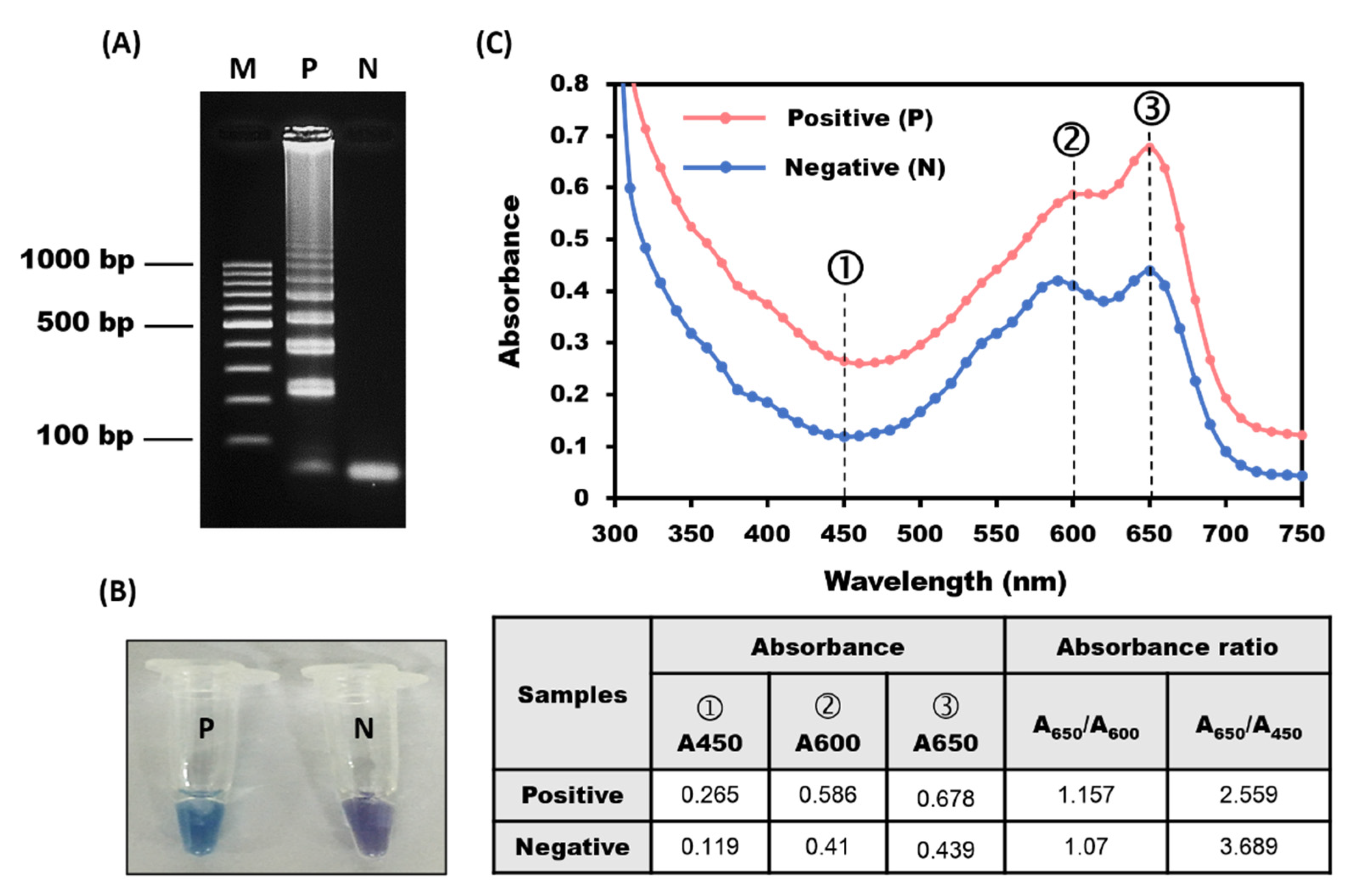 Biosensors 11 00308 g003