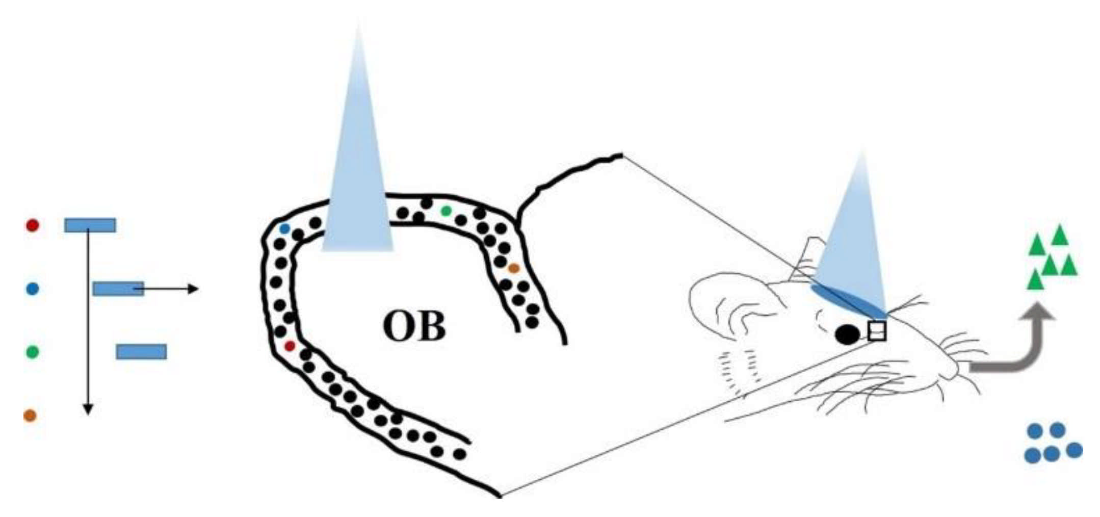 Biosensors 11 00309 g002 Biosensors 11 00309 g002