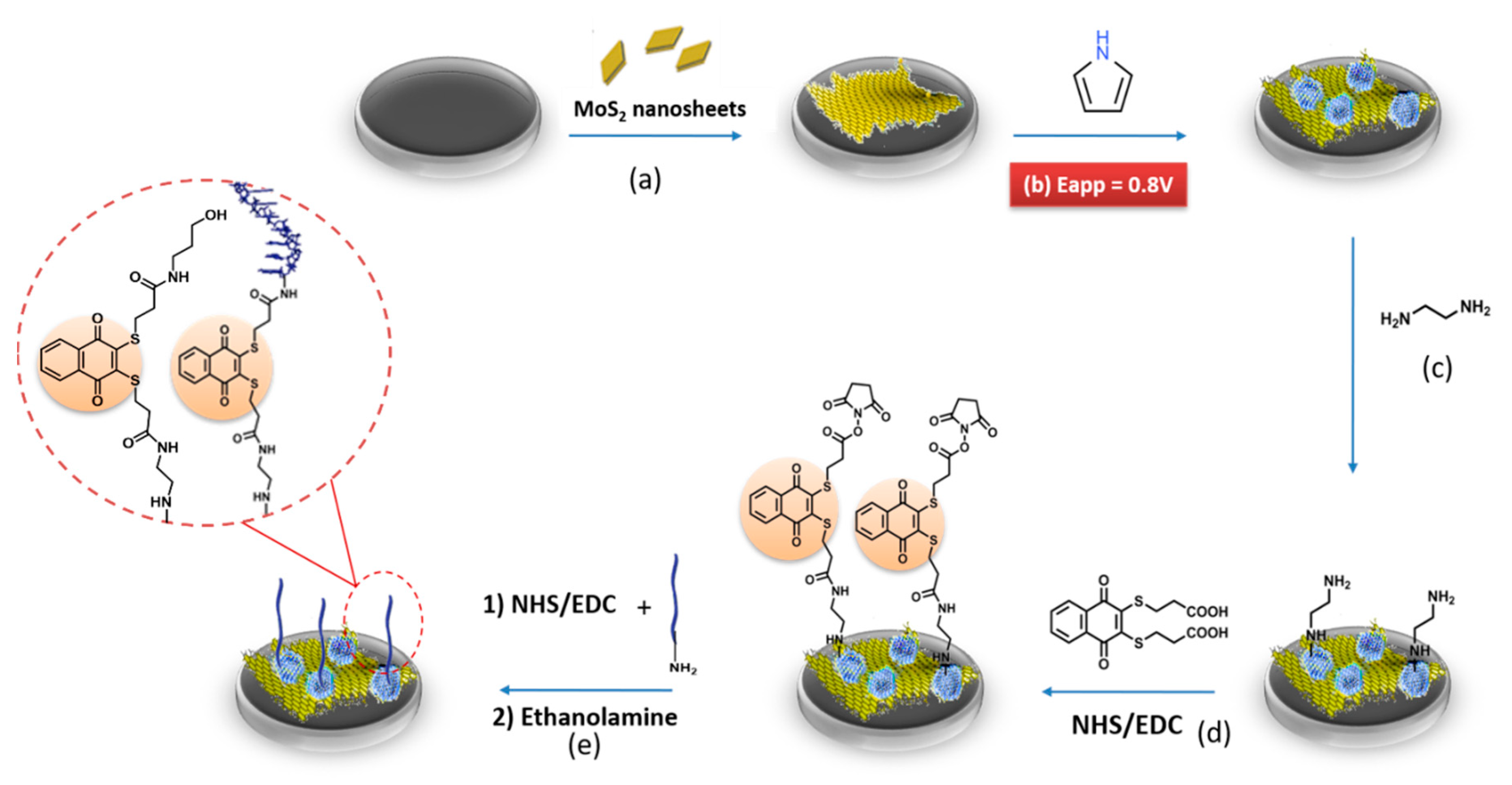 Biosensors 11 00311 sch001 Biosensors 11 00311 sch001