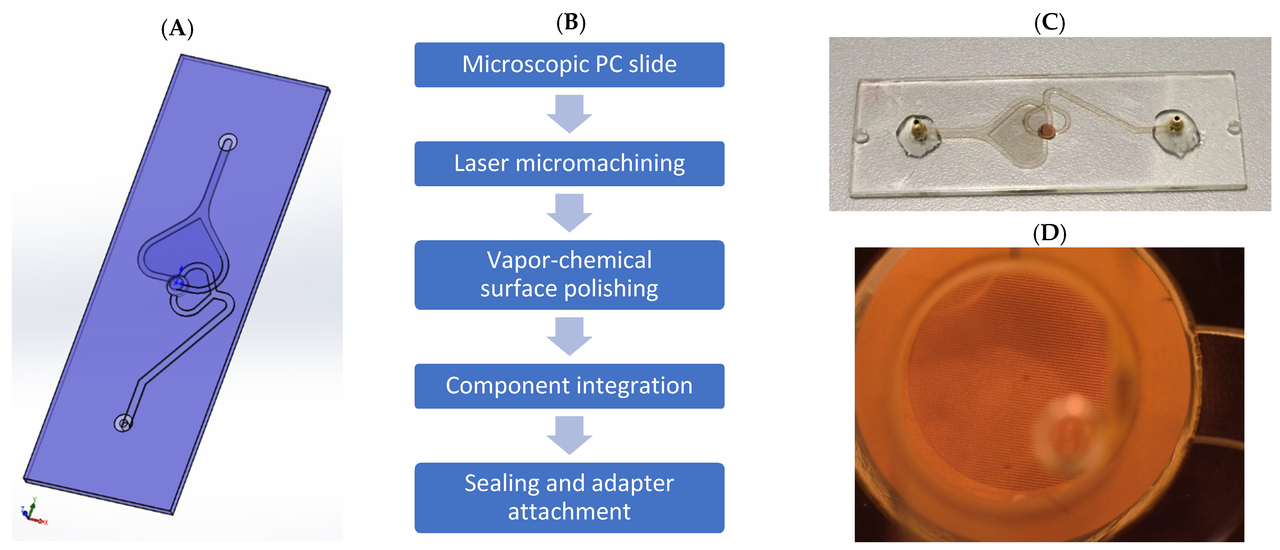 Biosensors 11 00312 g002