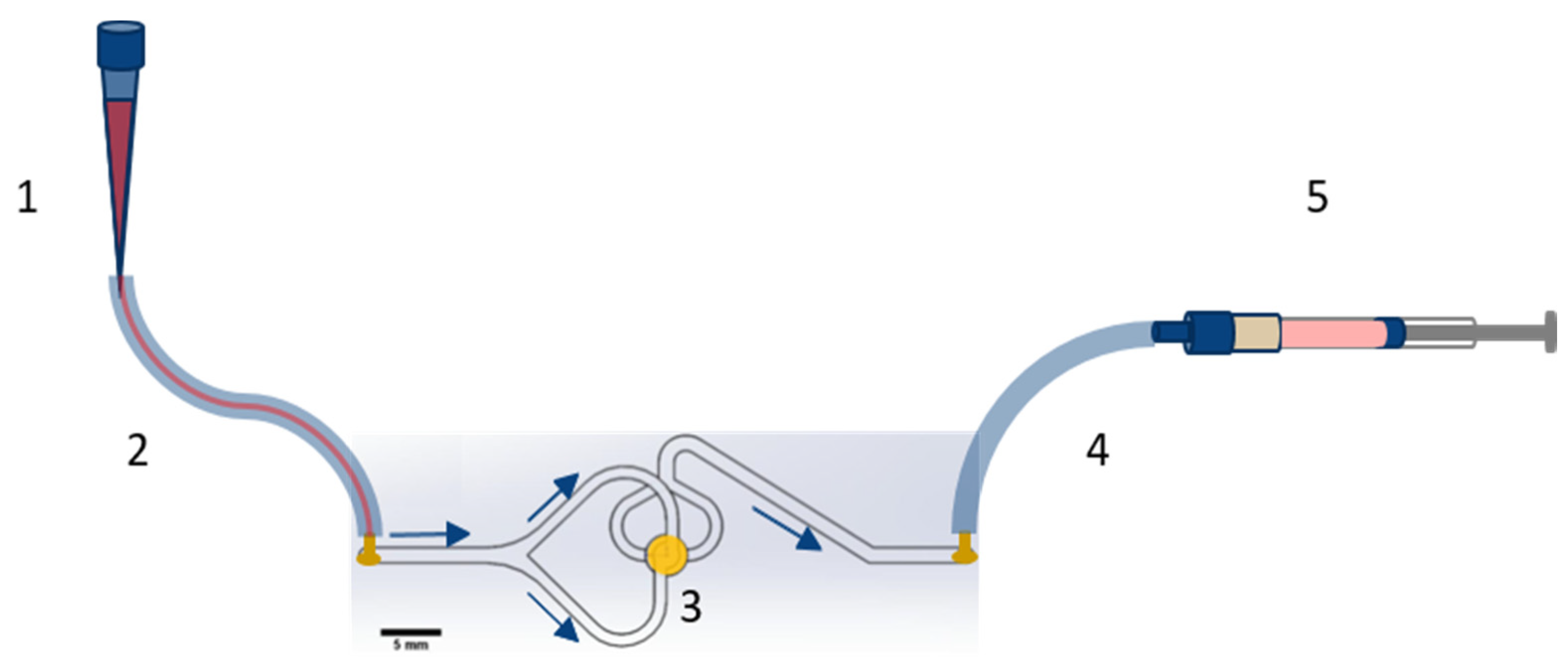 Biosensors 11 00312 g003