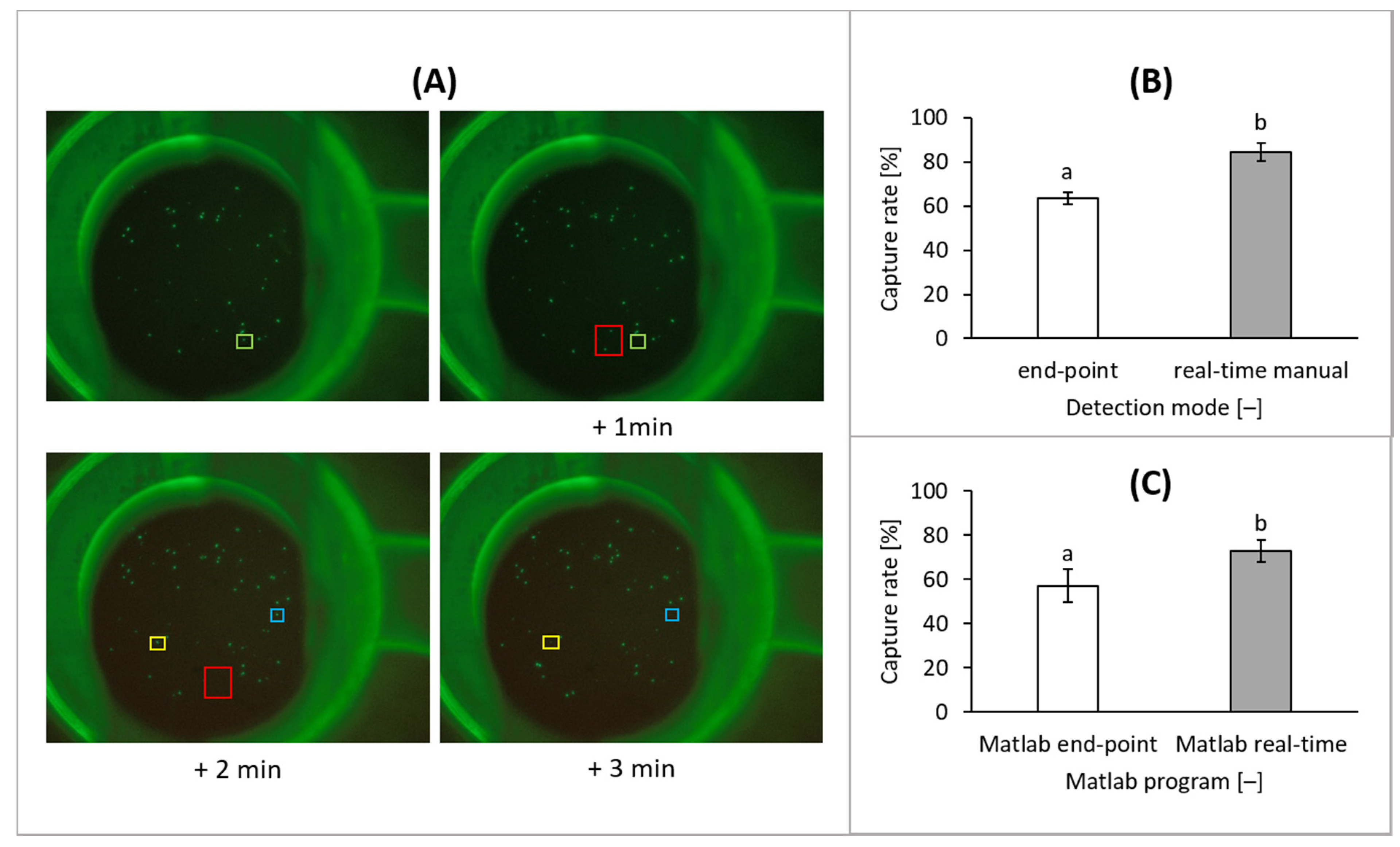Biosensors 11 00312 g011