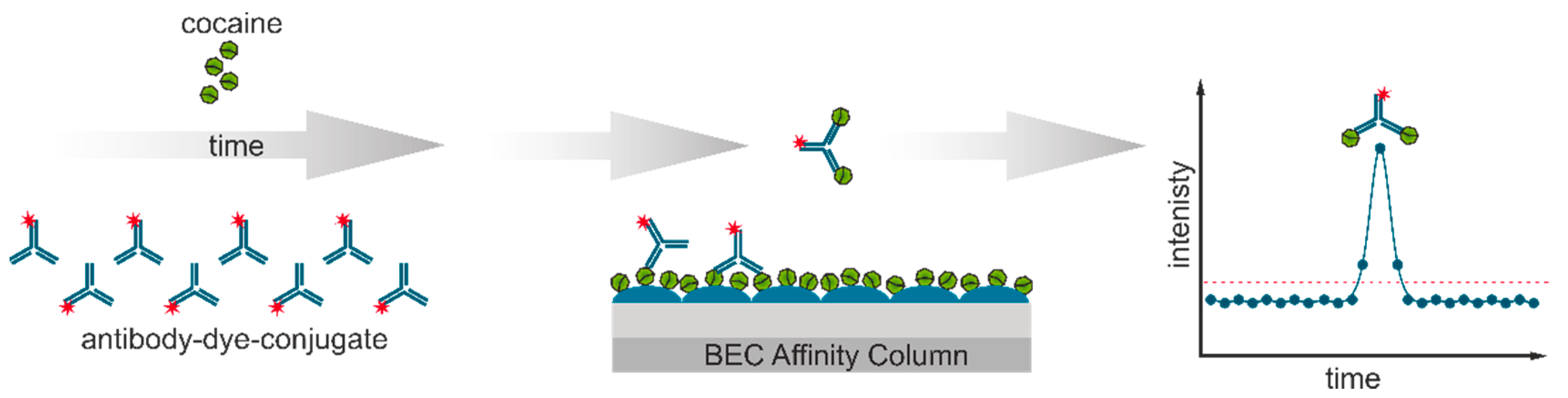 Biosensors 11 00313 g001