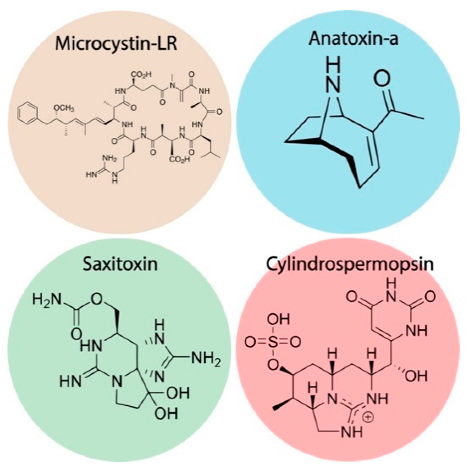 Biosensors 11 00315 g001 550