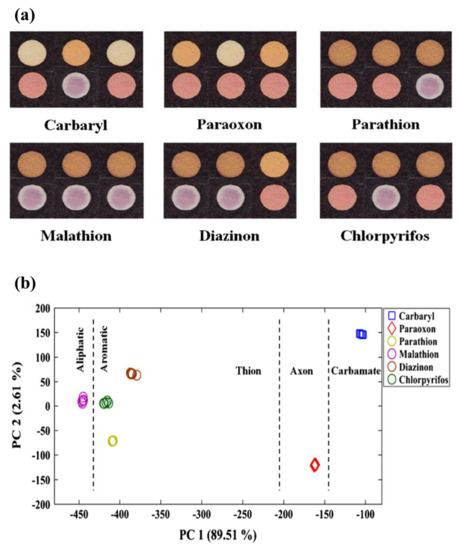 Biosensors Free Full Text Disposable Paper Based Biosensors For The Point Of Care Detection Of Hazardous Contaminations A Review Html