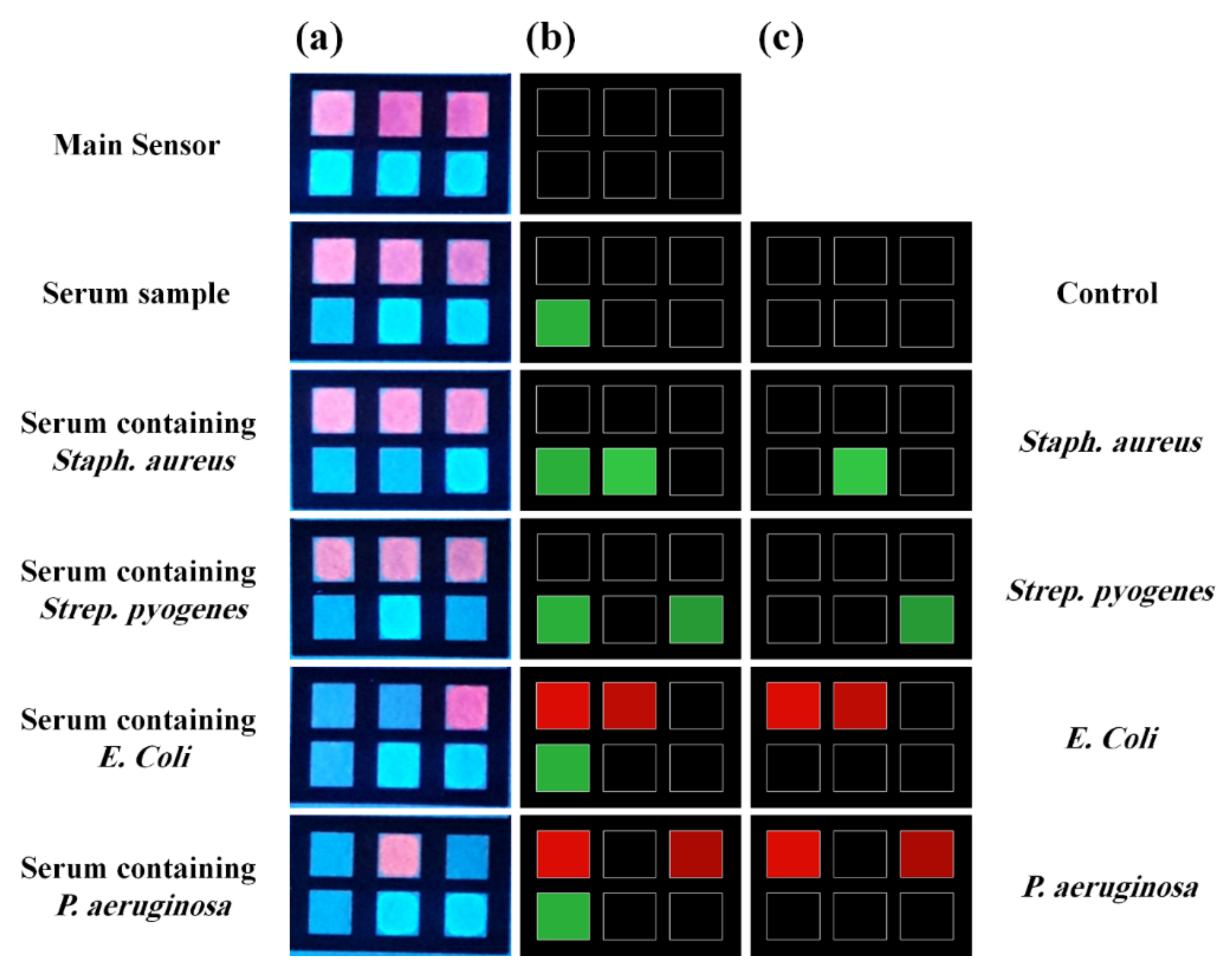 Biosensors 11 00316 g008 Biosensors 11 00316 g008