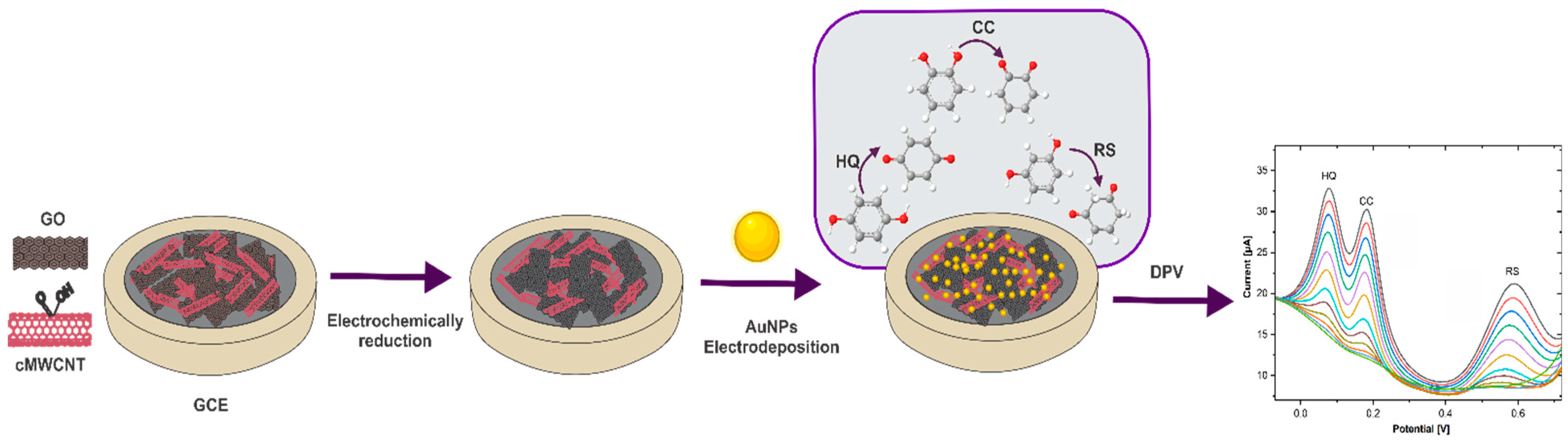 Biosensors 11 00321 g001 550