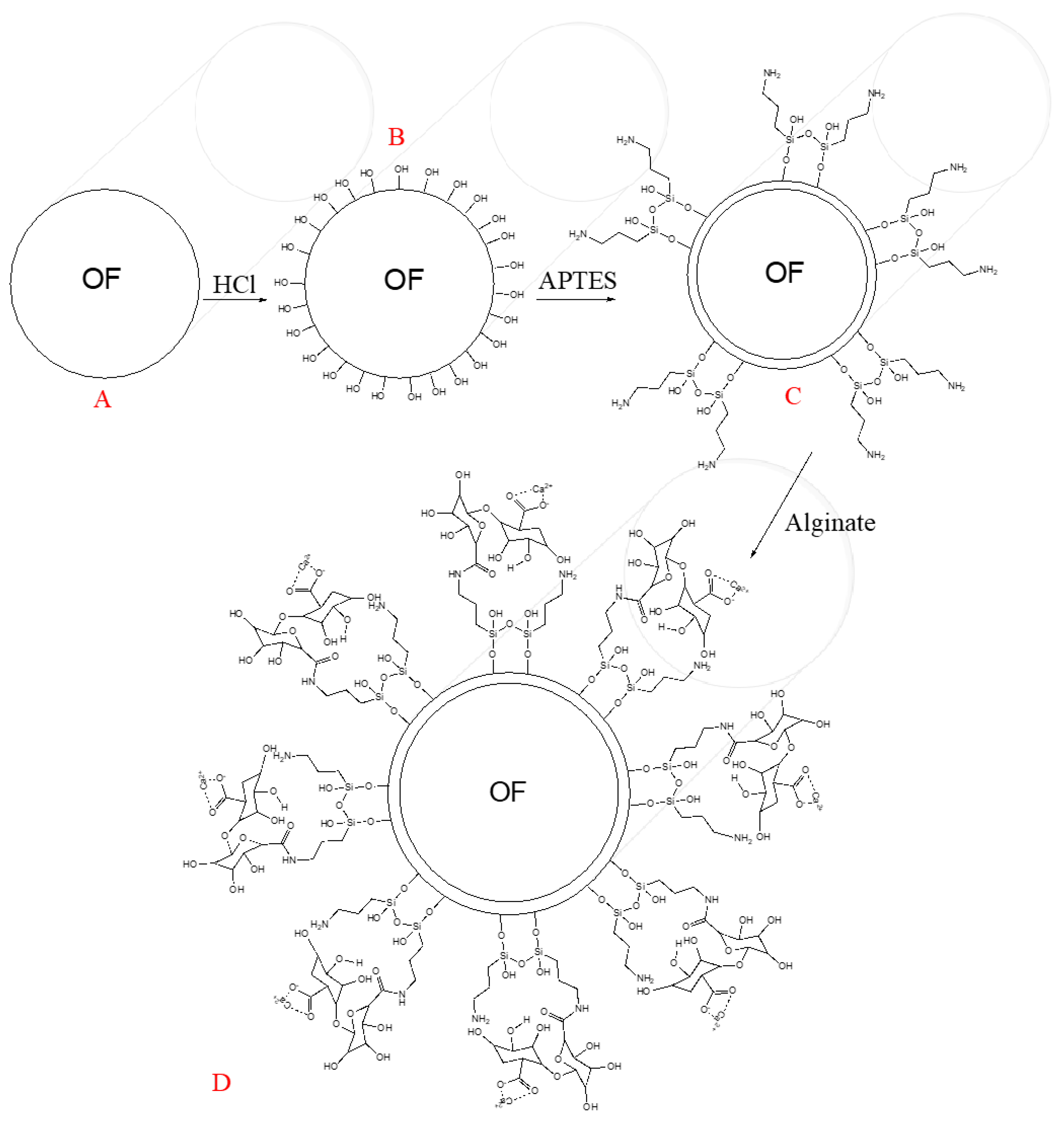 Biosensors 11 00324 g001 550