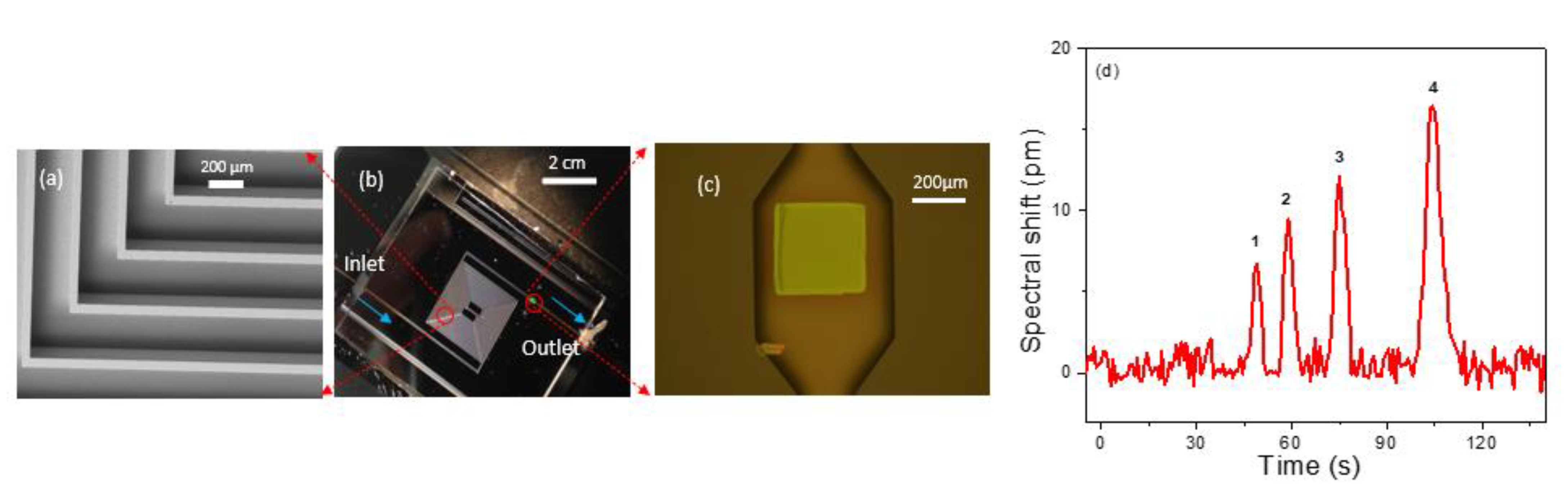Biosensors 11 00326 g006