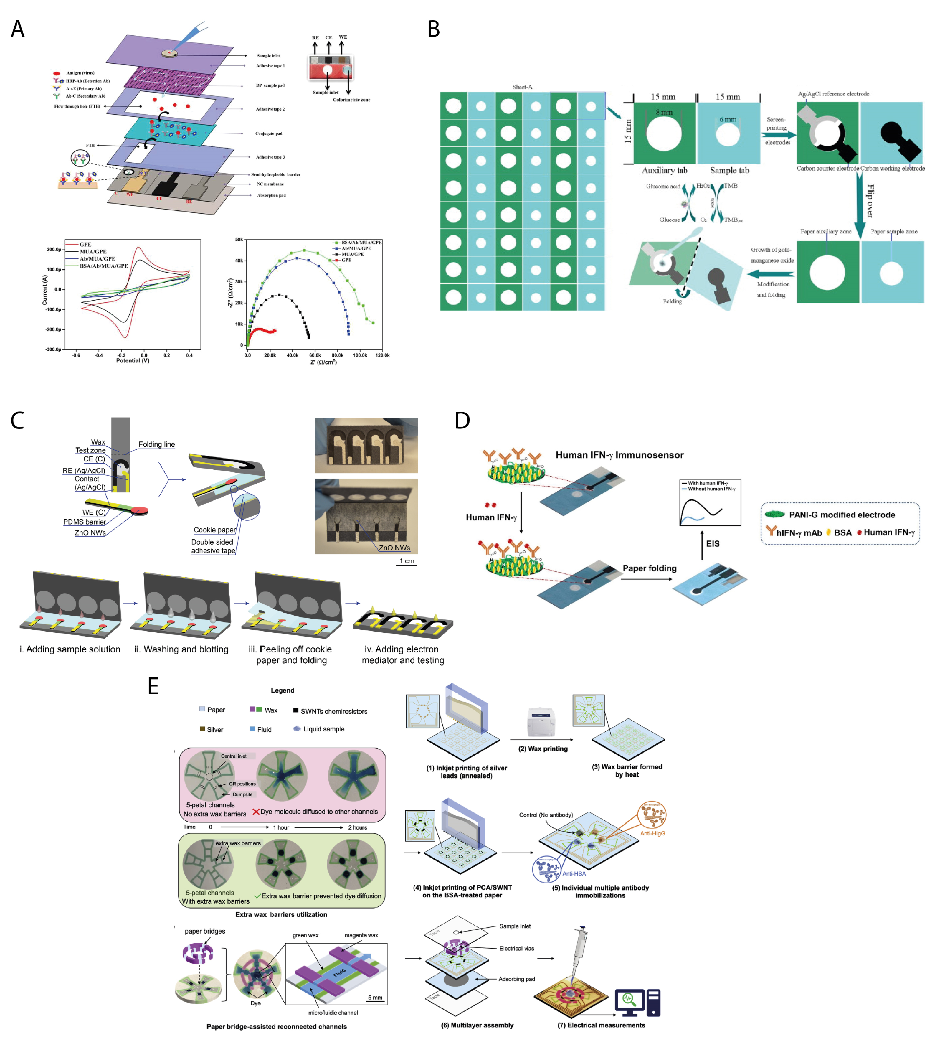Biosensors 11 00328 g003 550
