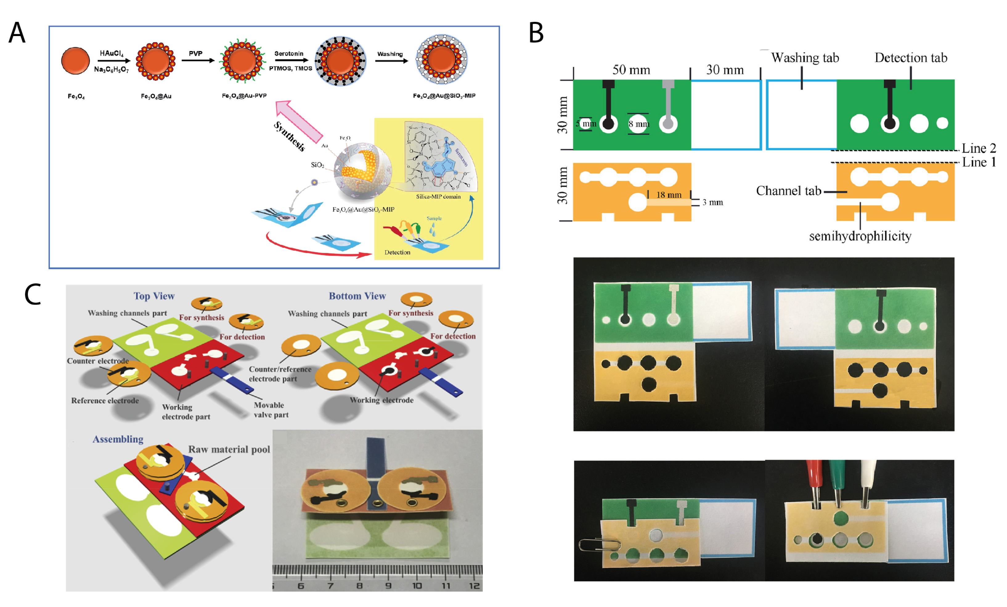 Biosensors 11 00328 g004 550