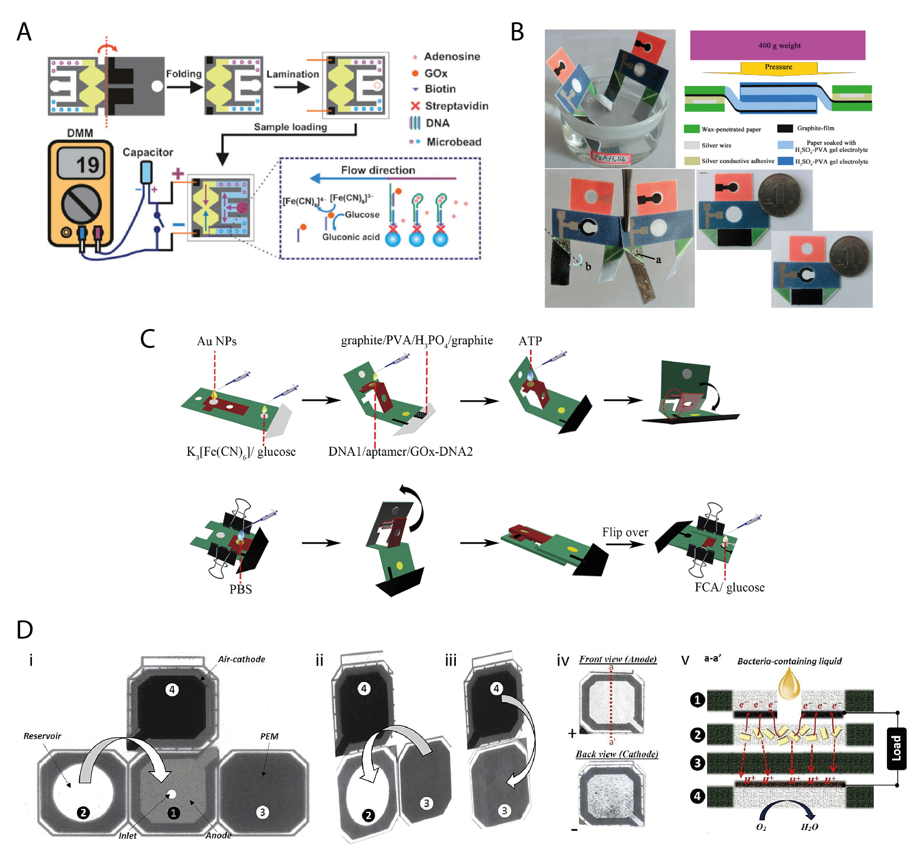 Biosensors 11 00328 g006 550