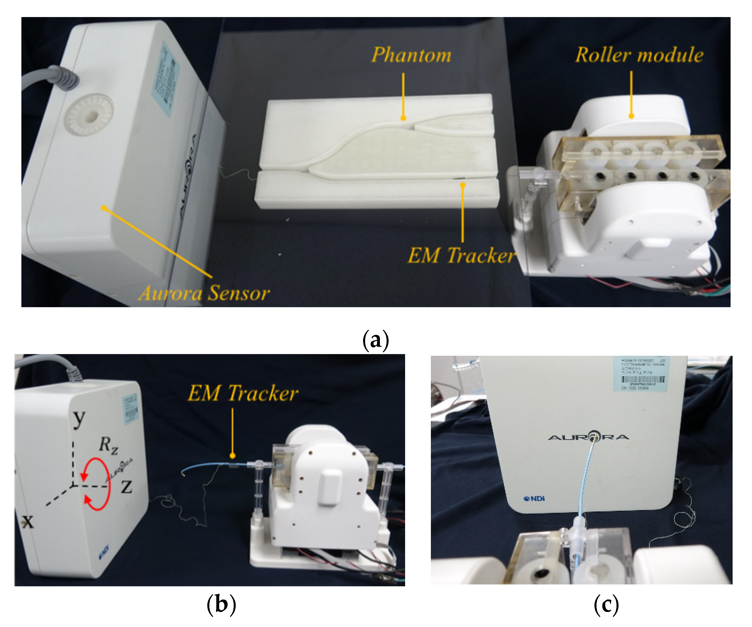 Biosensors 11 00329 g011 550