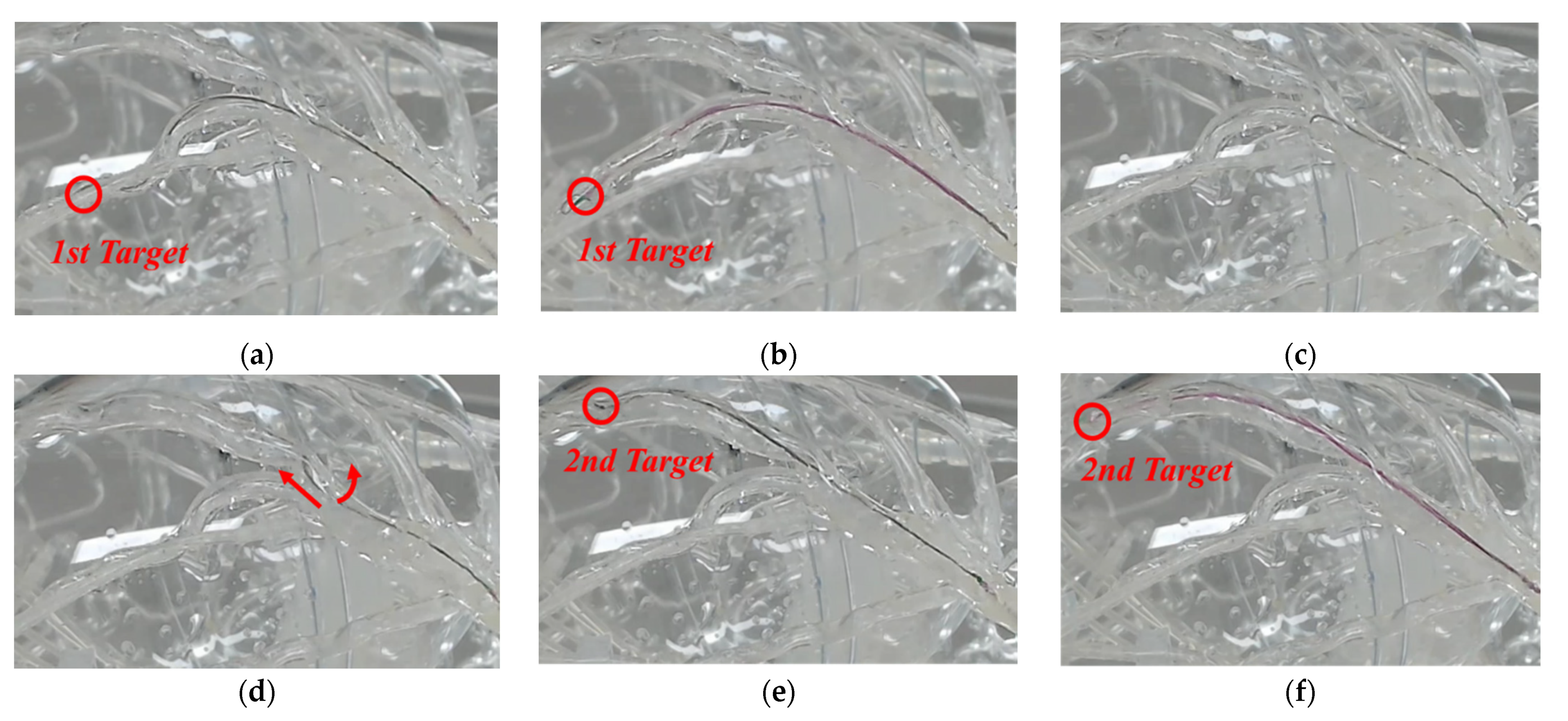 Biosensors 11 00329 g013 550