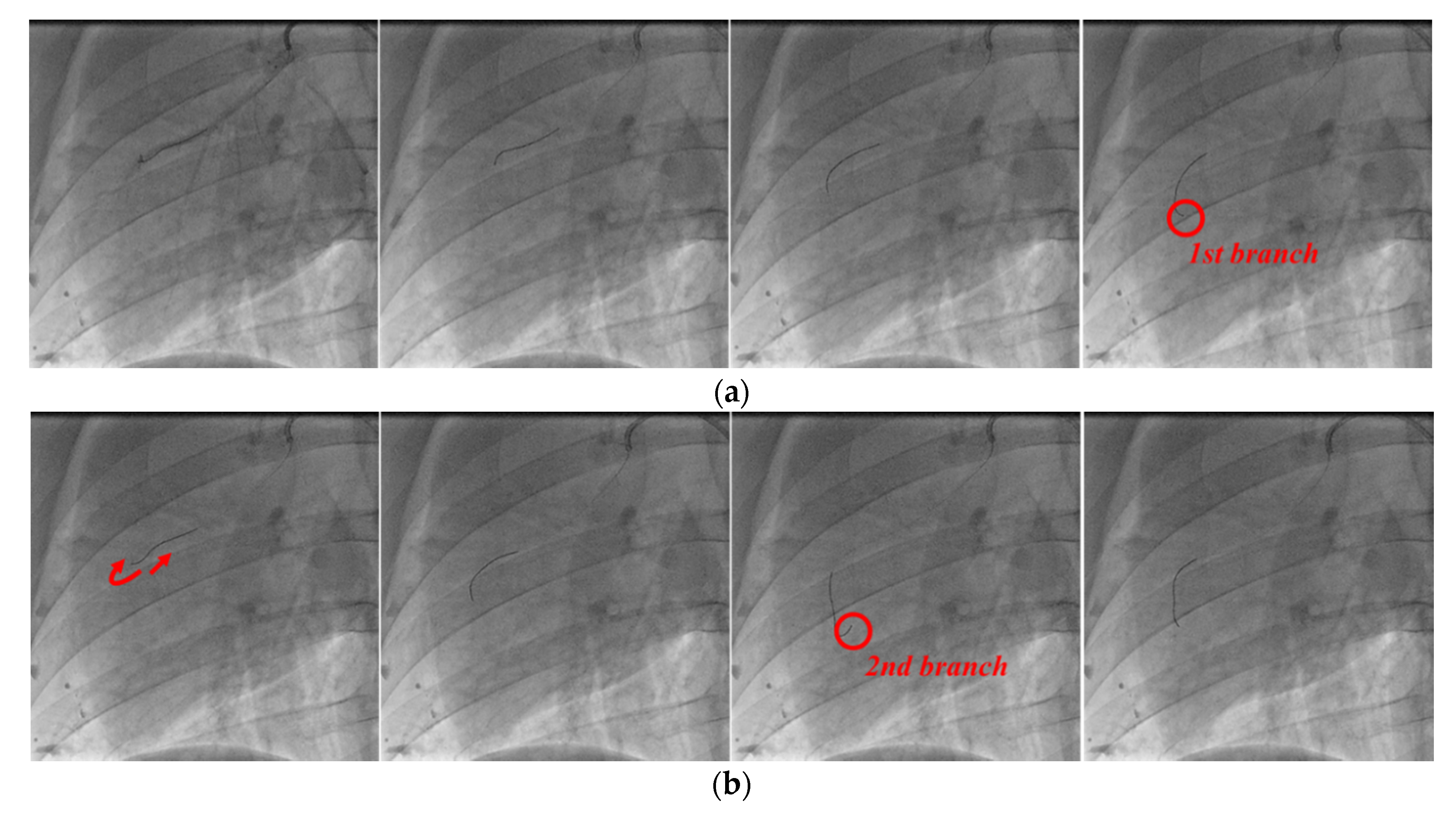 Biosensors 11 00329 g016a 550