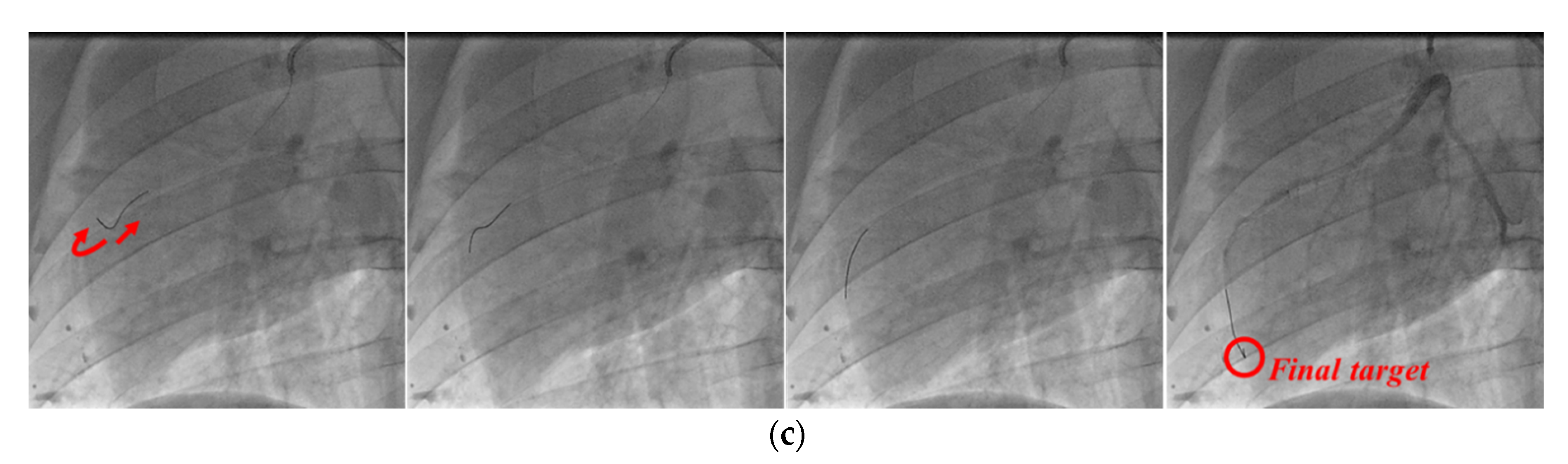 Biosensors 11 00329 g016b 550