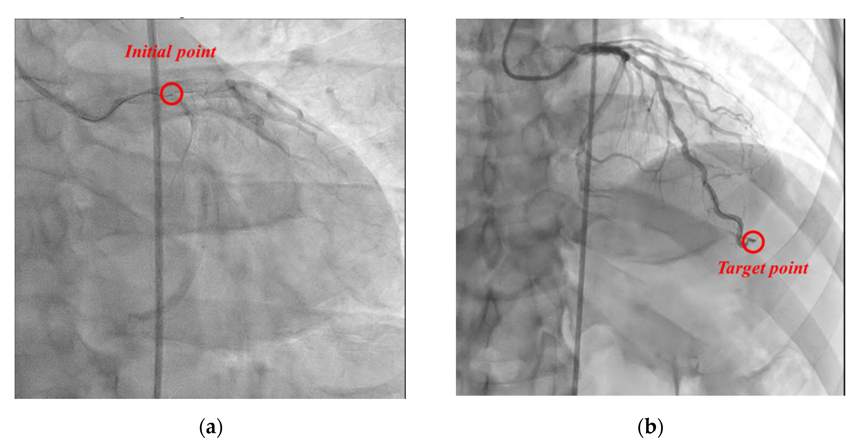 Biosensors 11 00329 g018 550
