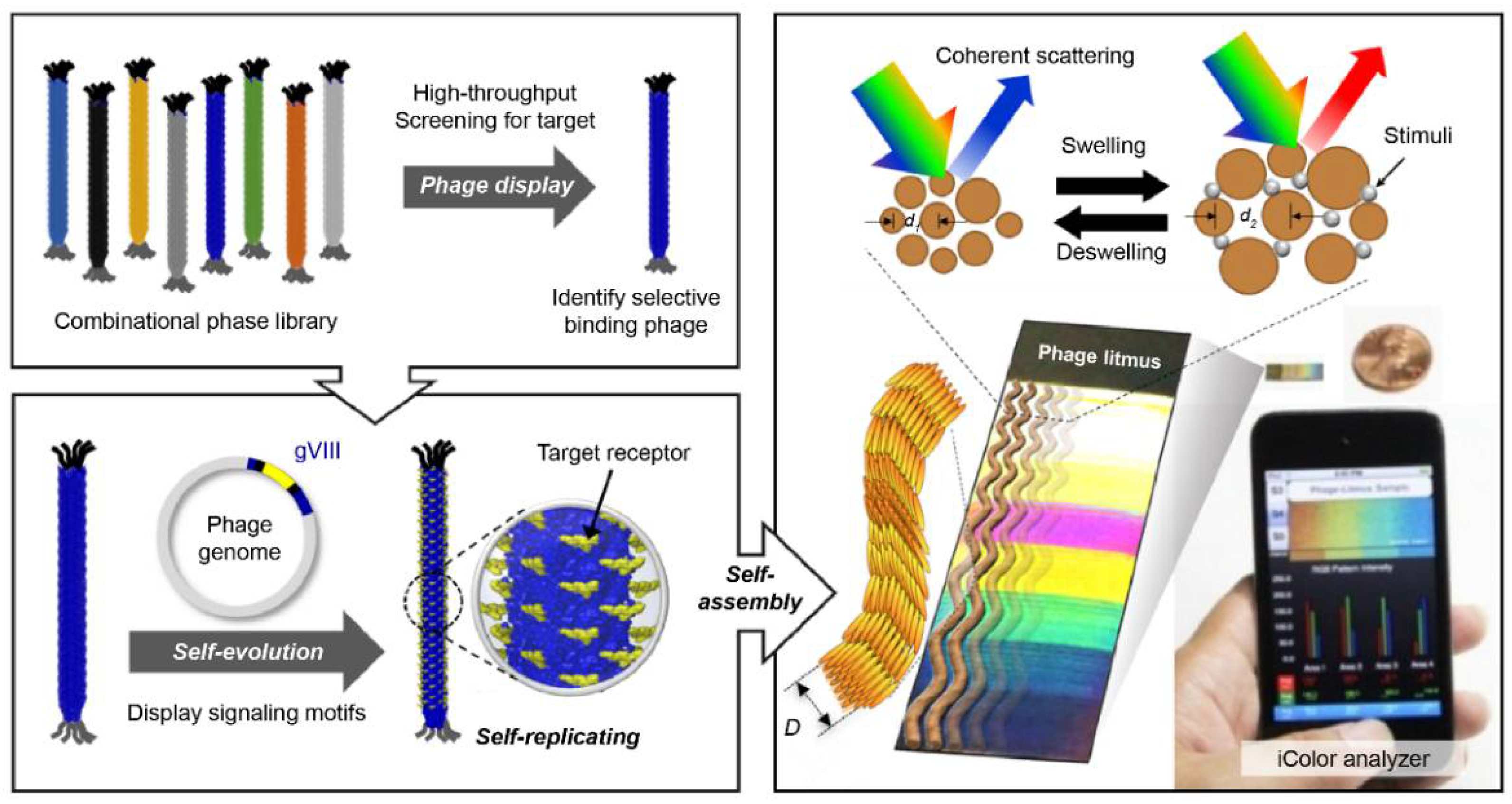 Biosensors 11 00337 g004 550