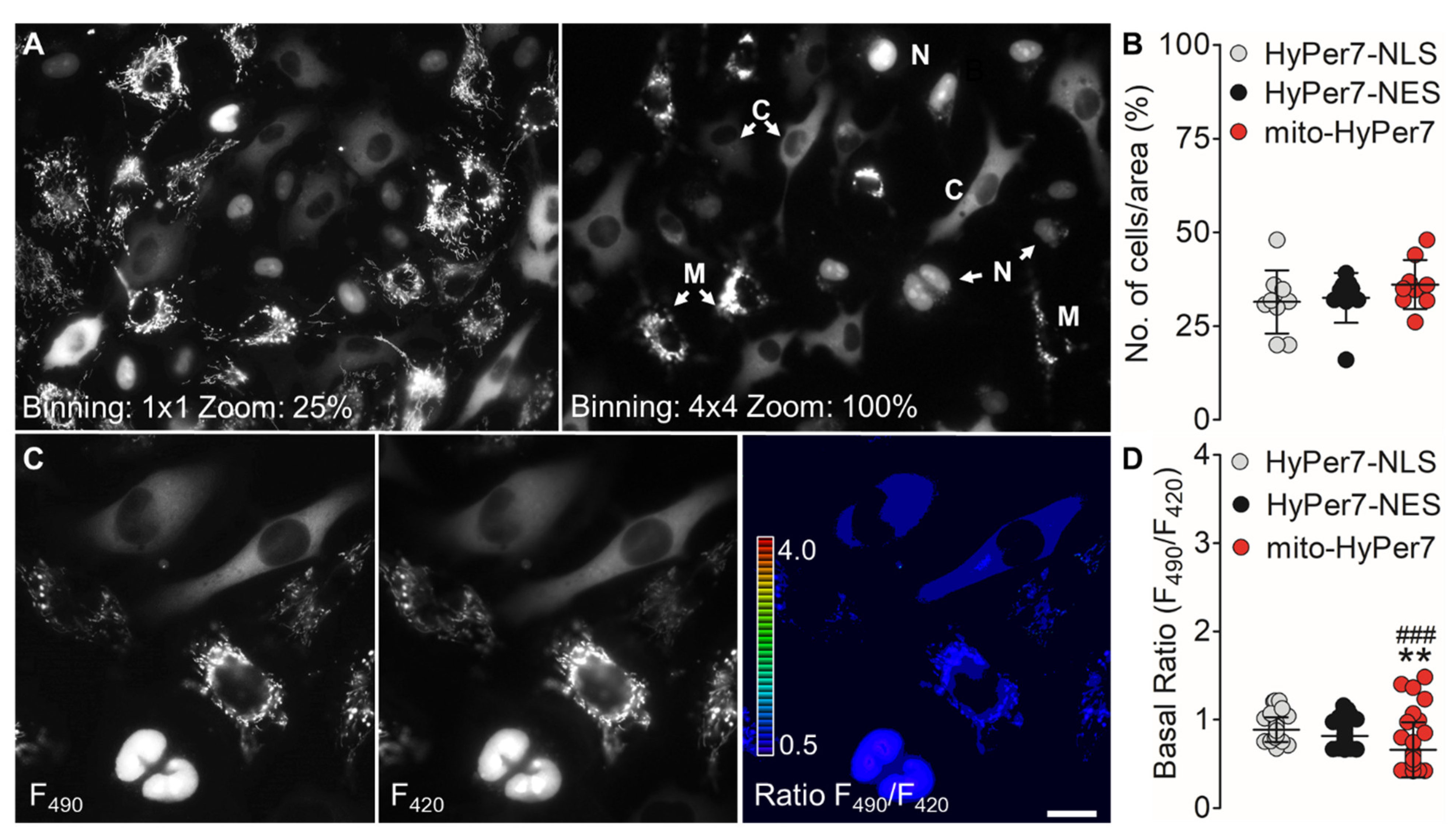Biosensors 11 00338 g002